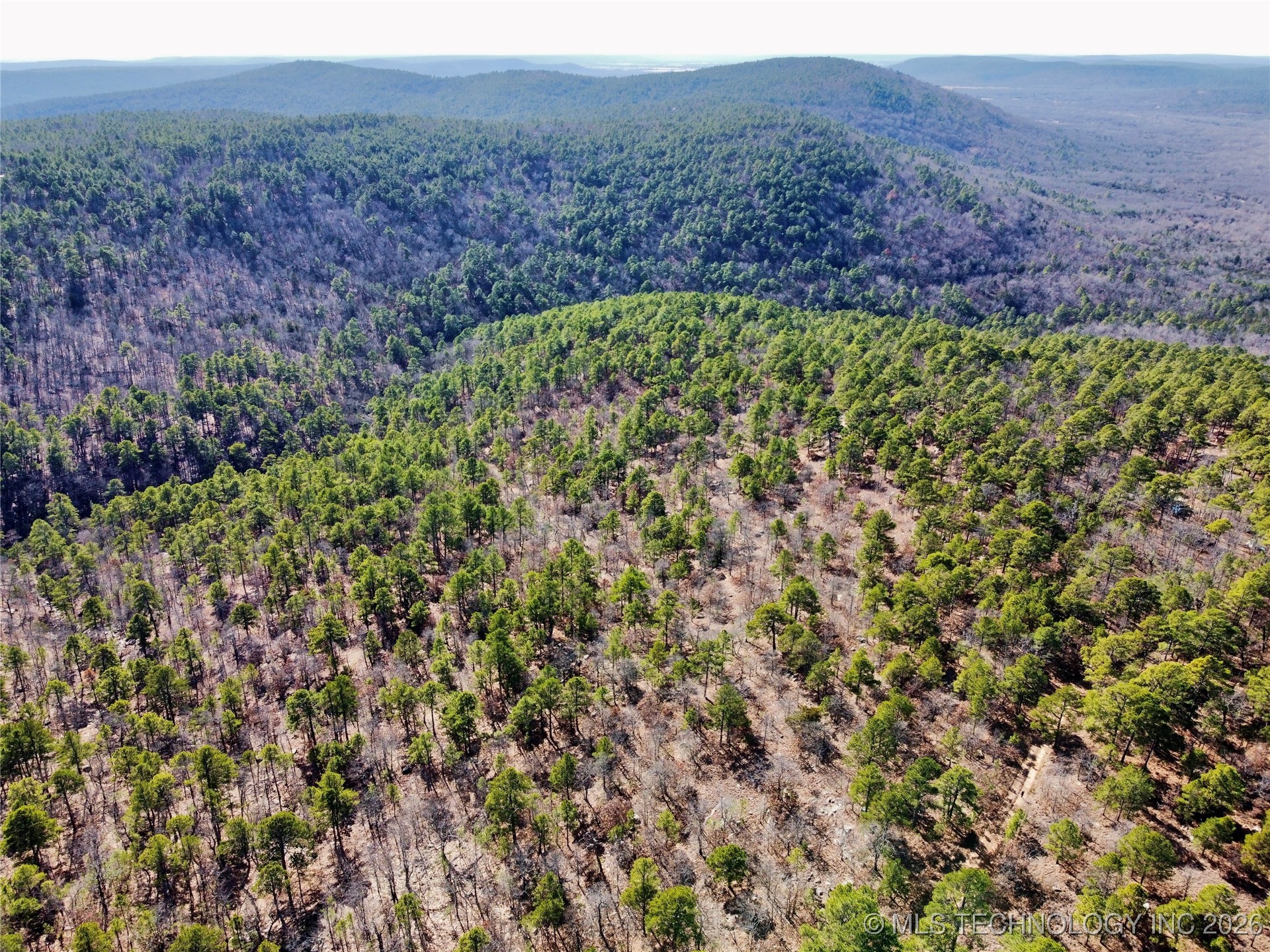 Wagon Wheel Property Photo 3