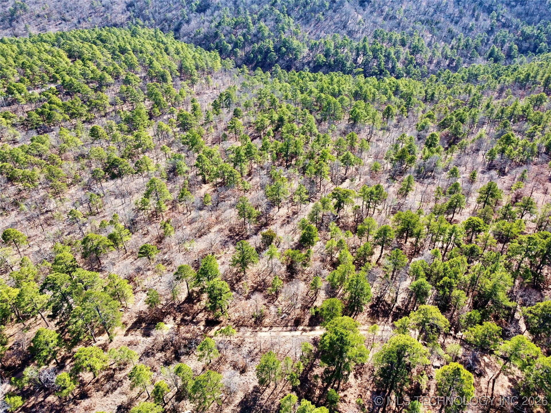 Wagon Wheel Property Photo 4