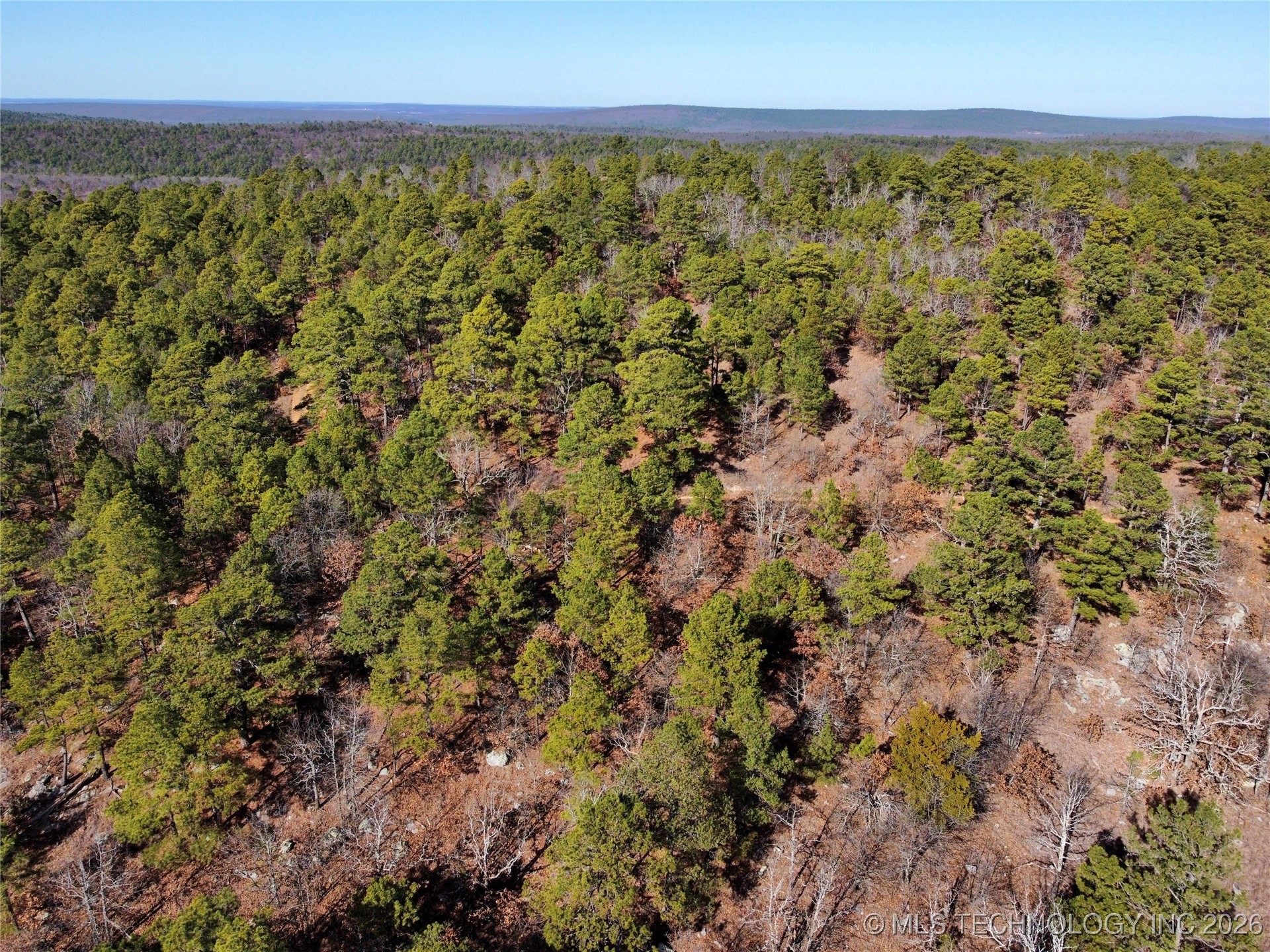 Wagon Wheel Property Photo 5