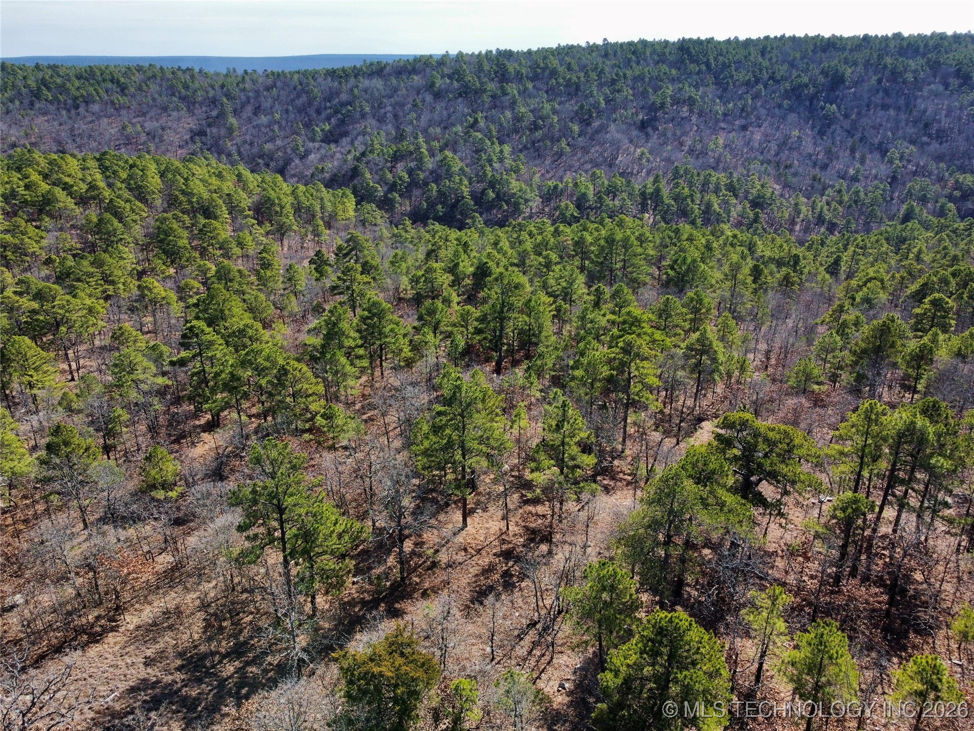 Wagon Wheel Property Photo 6