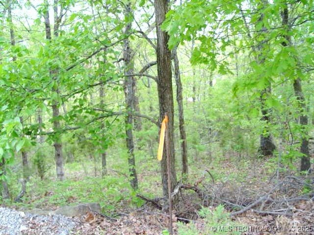 Kelsey Drive Property Photo 12