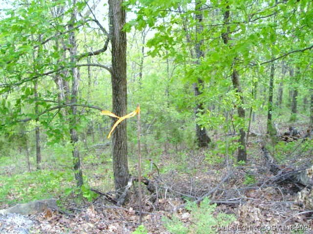 Kelsey Drive Property Photo 14