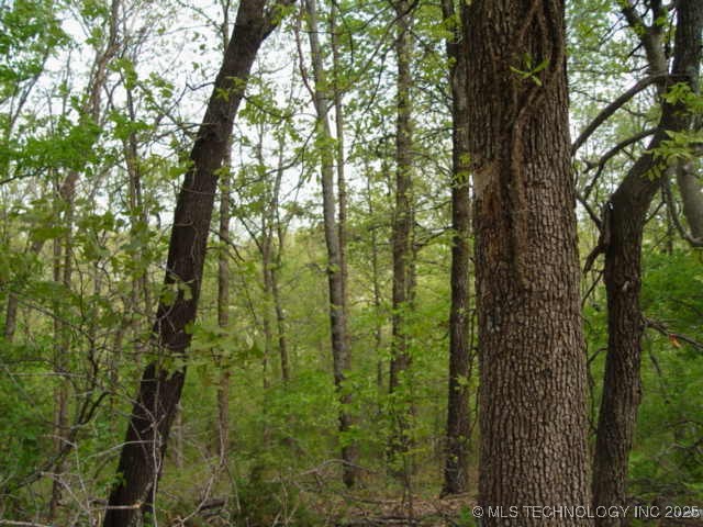 Kelsey Drive Property Photo 16