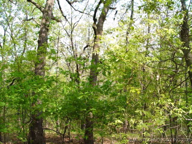 Kelsey Drive Property Photo 17