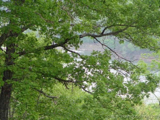 Kelsey Drive Property Photo 19