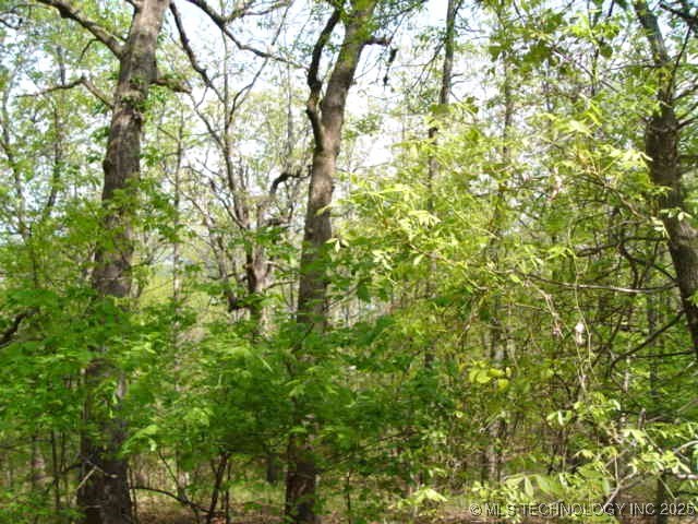 Kelsey Drive Property Photo 24