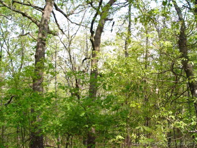 Kelsey Drive Property Photo 26