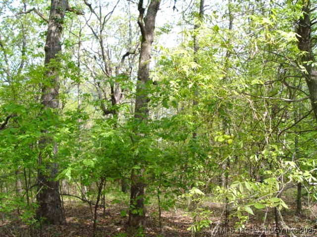 Kelsey Drive Property Photo 27