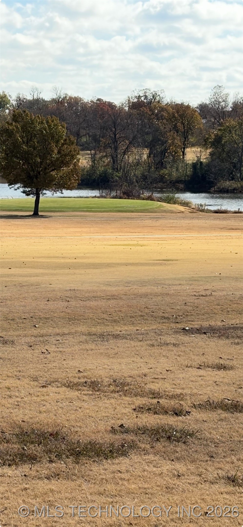 1001 Country Club Property Photo 28