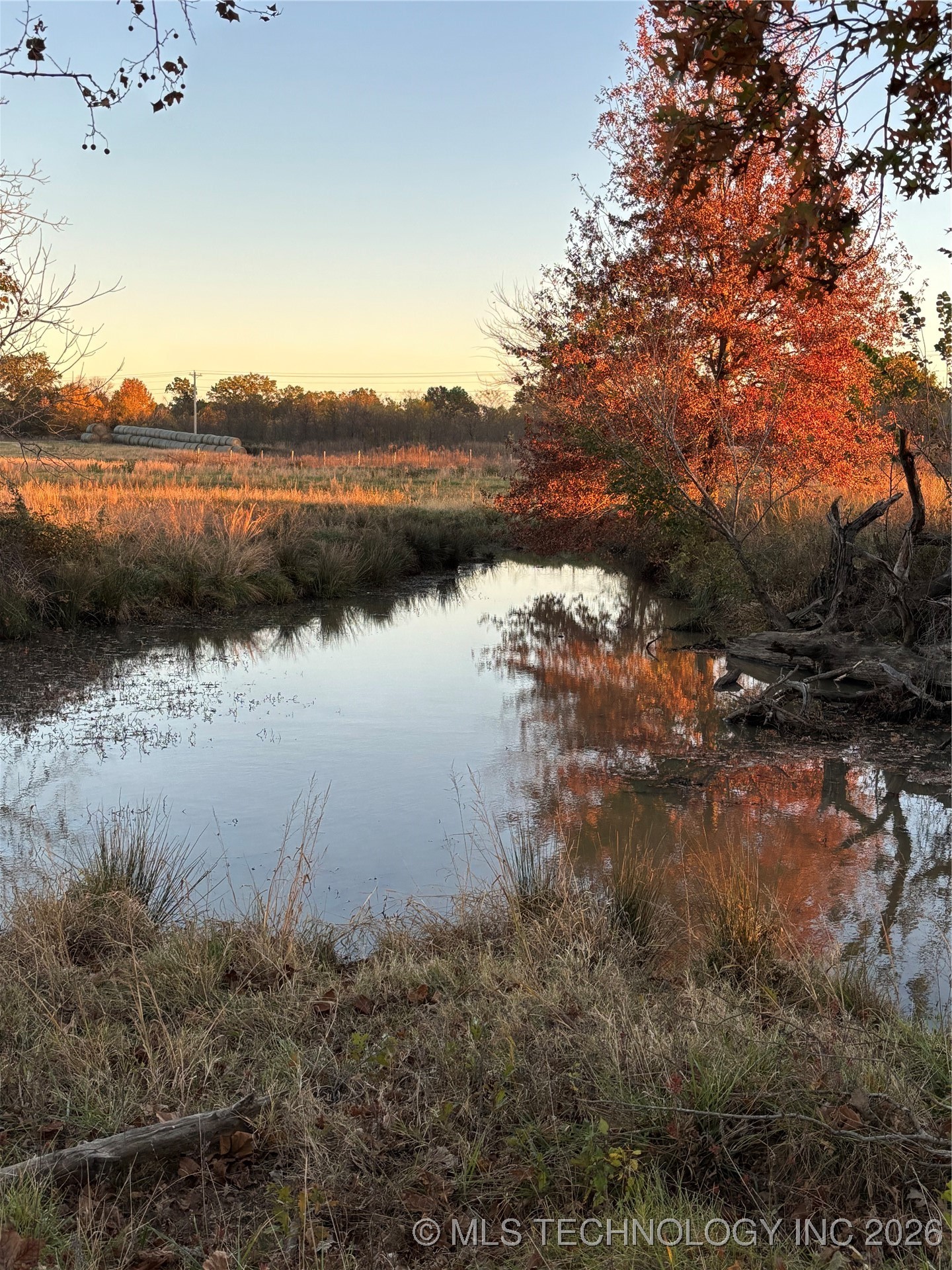 4500 Hwy 28 Property Photo 5