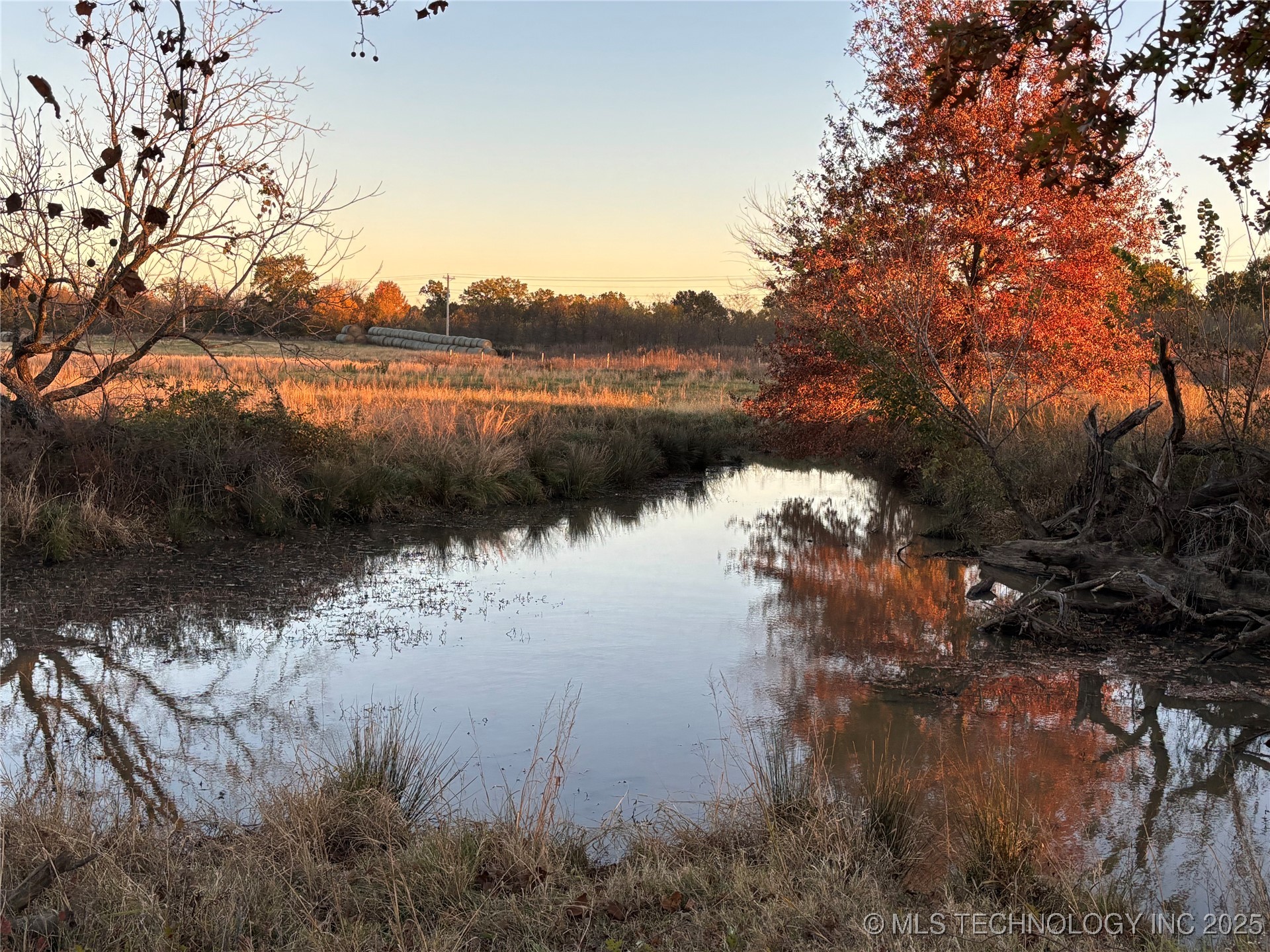 4500 Hwy 28 Property Photo 6