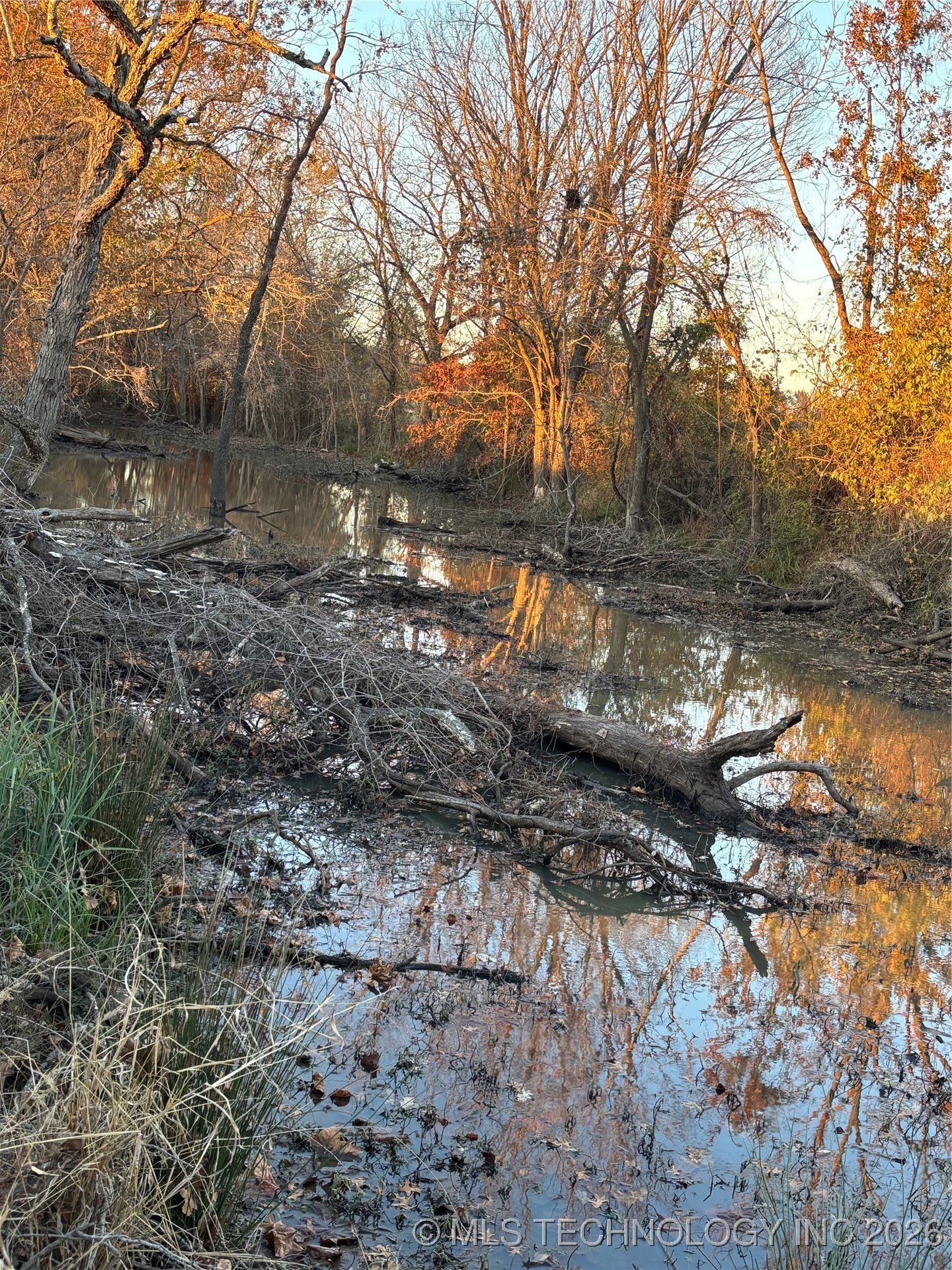 4500 Hwy 28 Property Photo 8