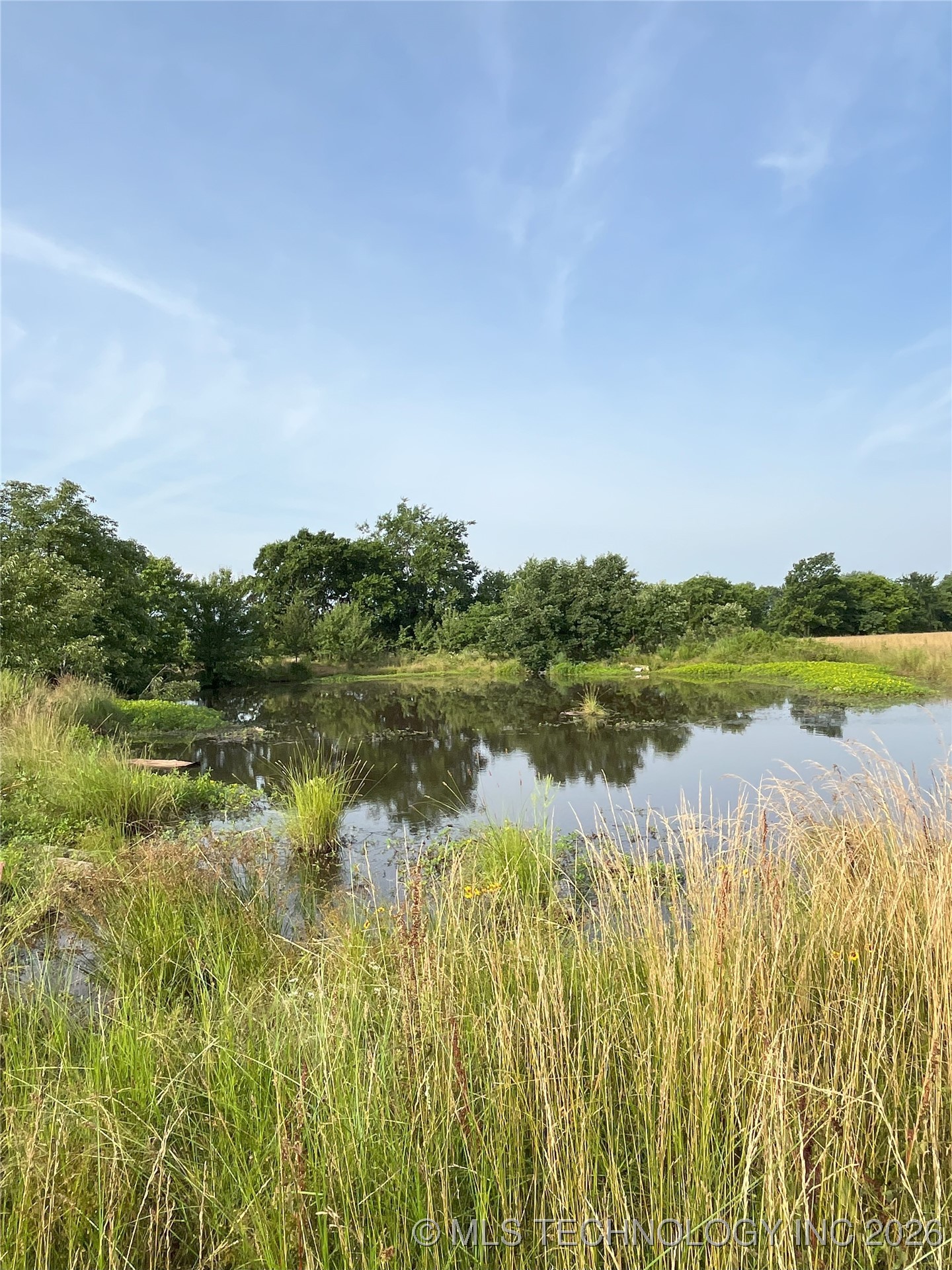 State Hwy 31 Property Photo 4