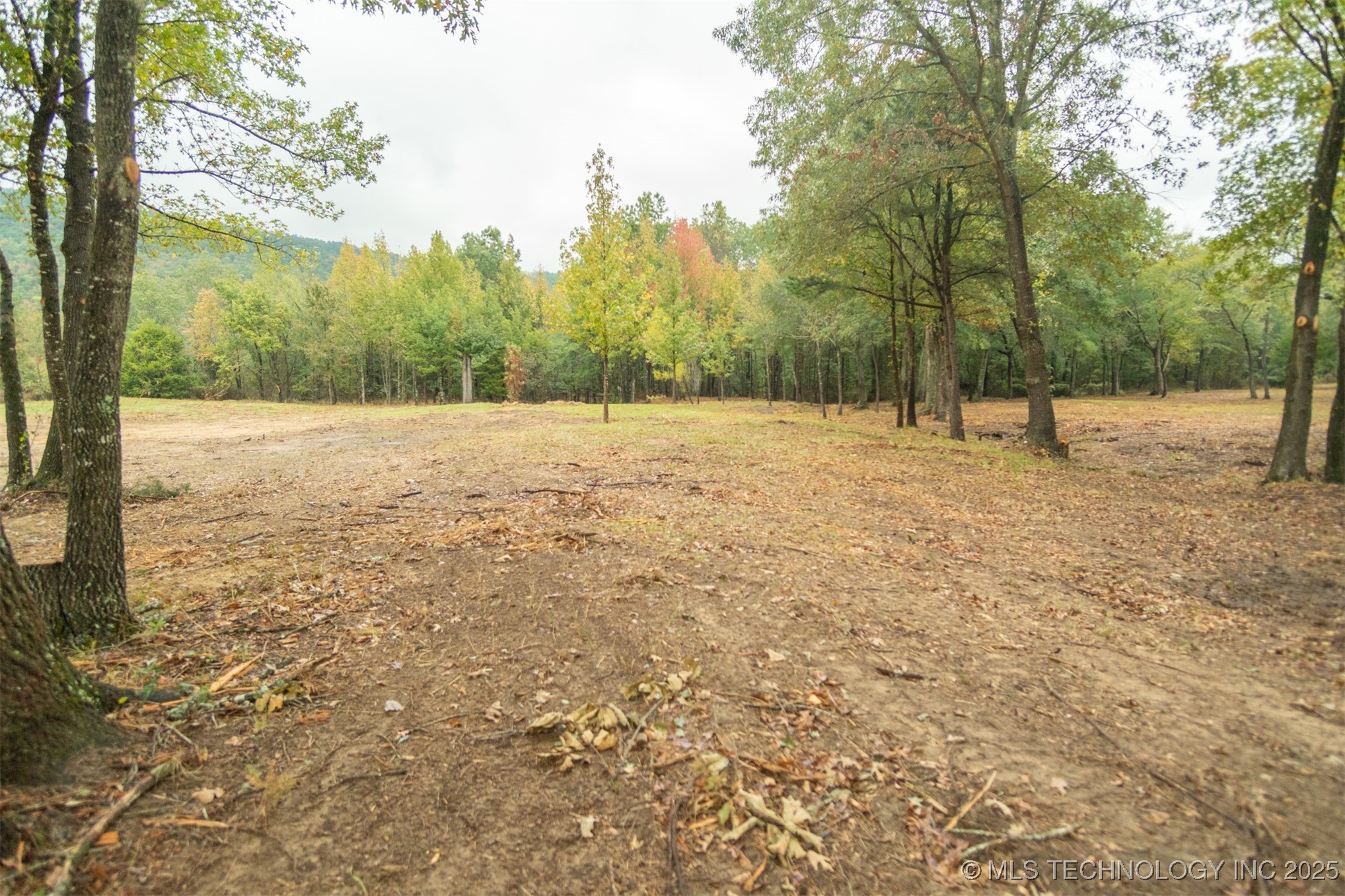 00 Robinson Road Property Photo 6