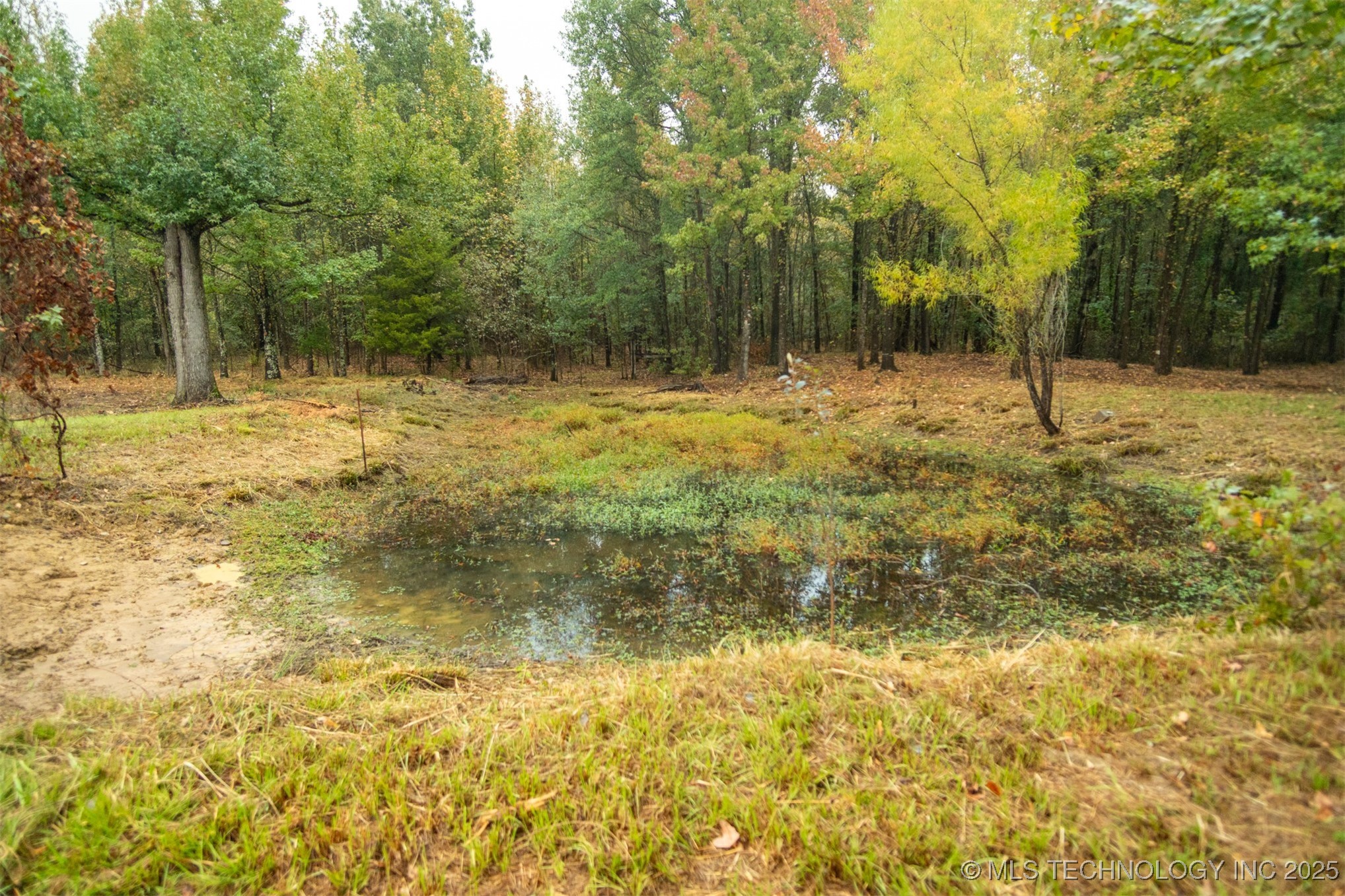 00 Robinson Road Property Photo 8