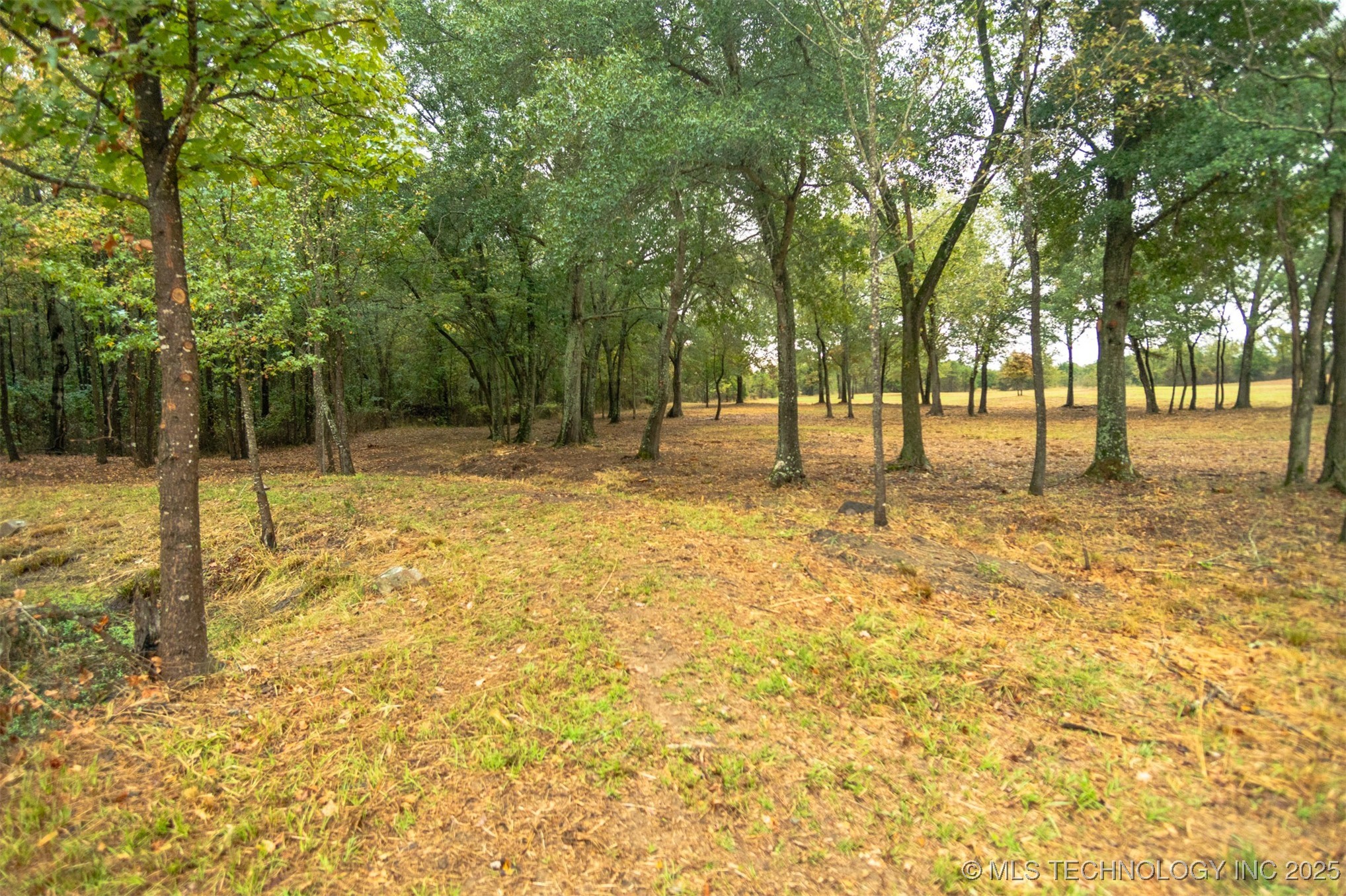 00 Robinson Road Property Photo 9