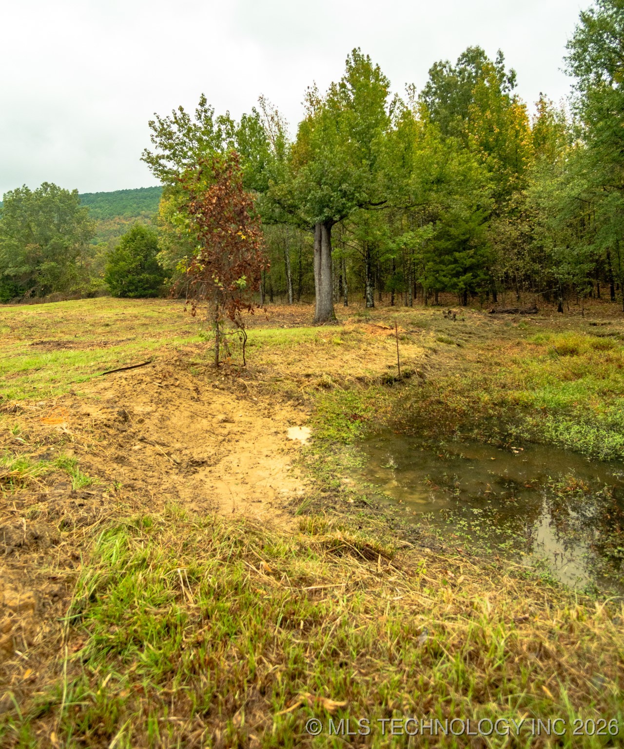 00 Robinson Road Property Photo 10