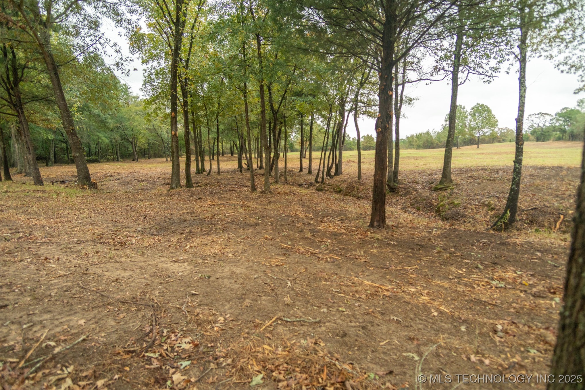 00 Robinson Road Property Photo 25