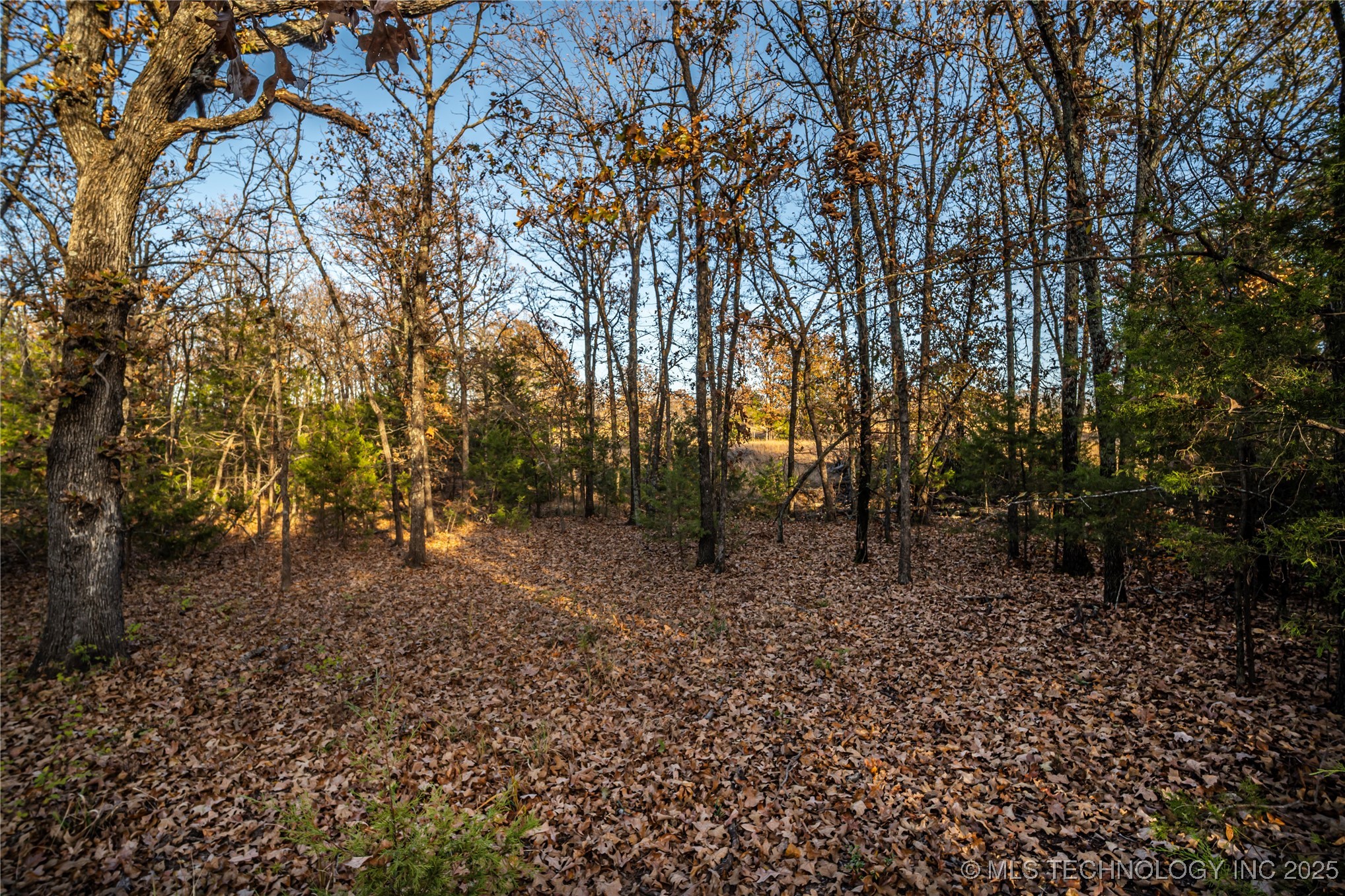 Diagonal Road Property Photo 5