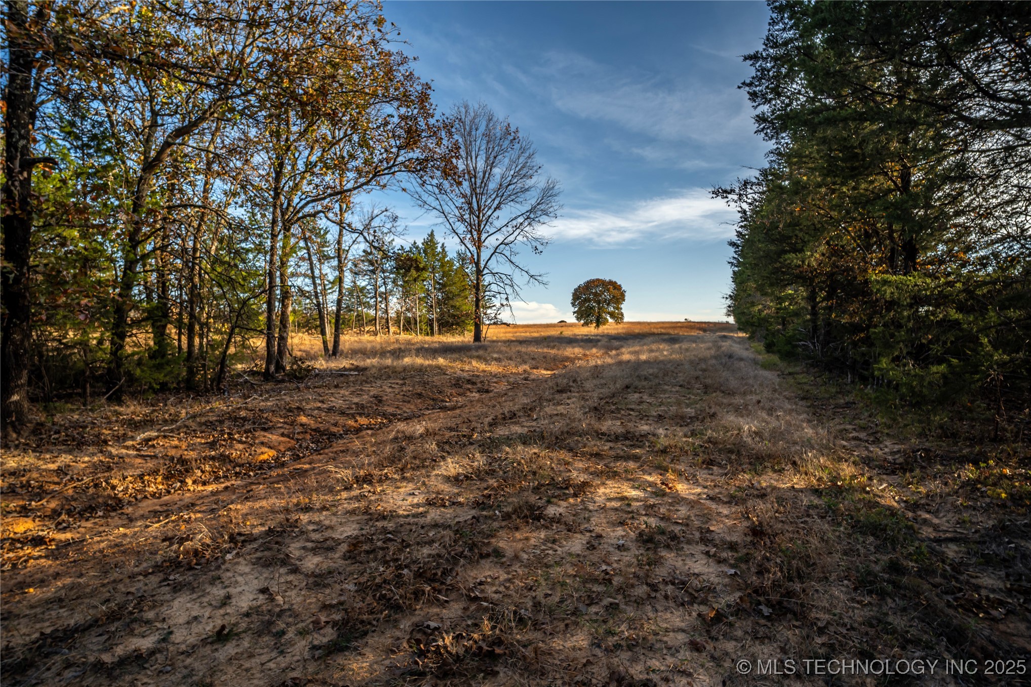 Diagonal Road Property Photo 6