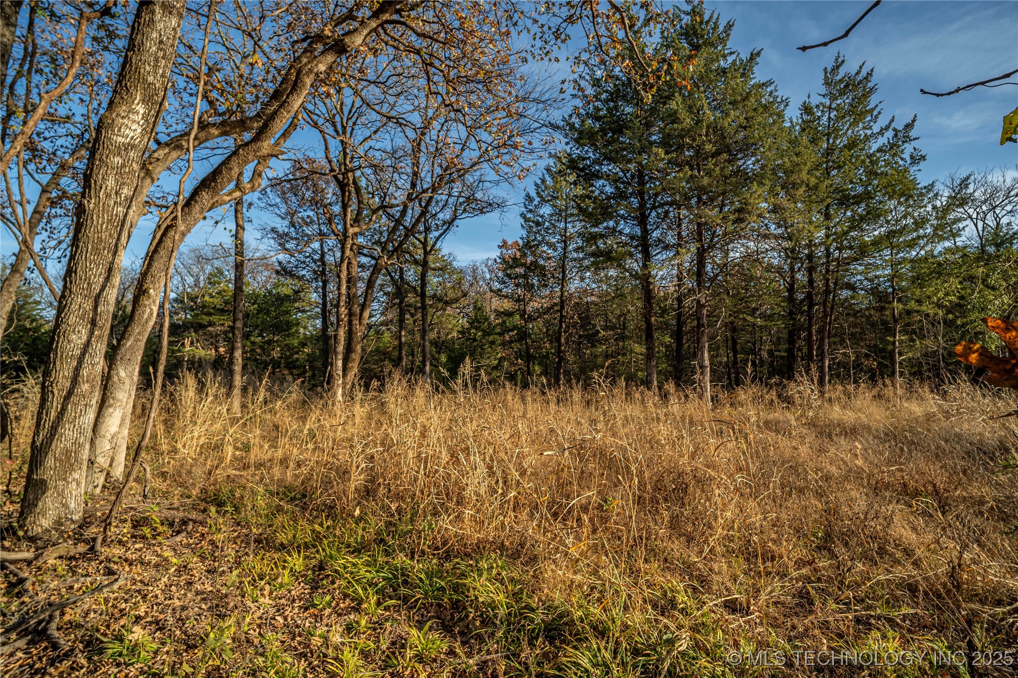 Diagonal Road Property Photo 8