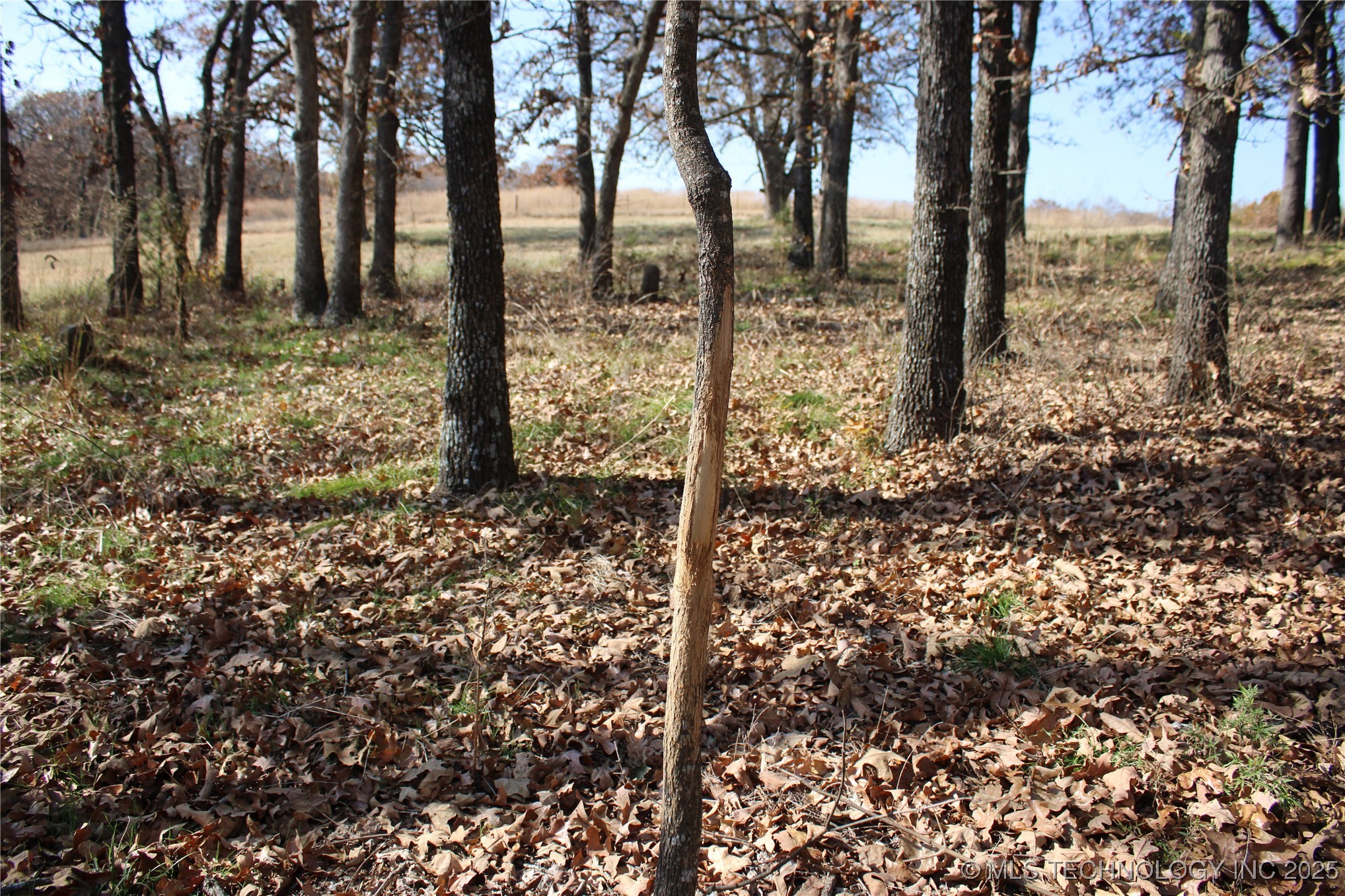 0000 W 3200 Road Property Photo 12