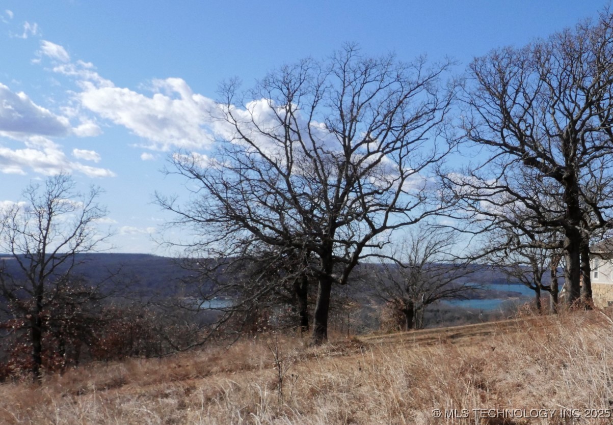 S Oak Lane Property Photo 3