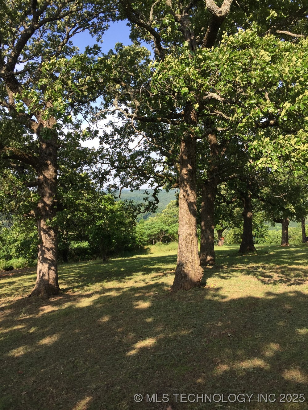 S Oak Lane Property Photo 6