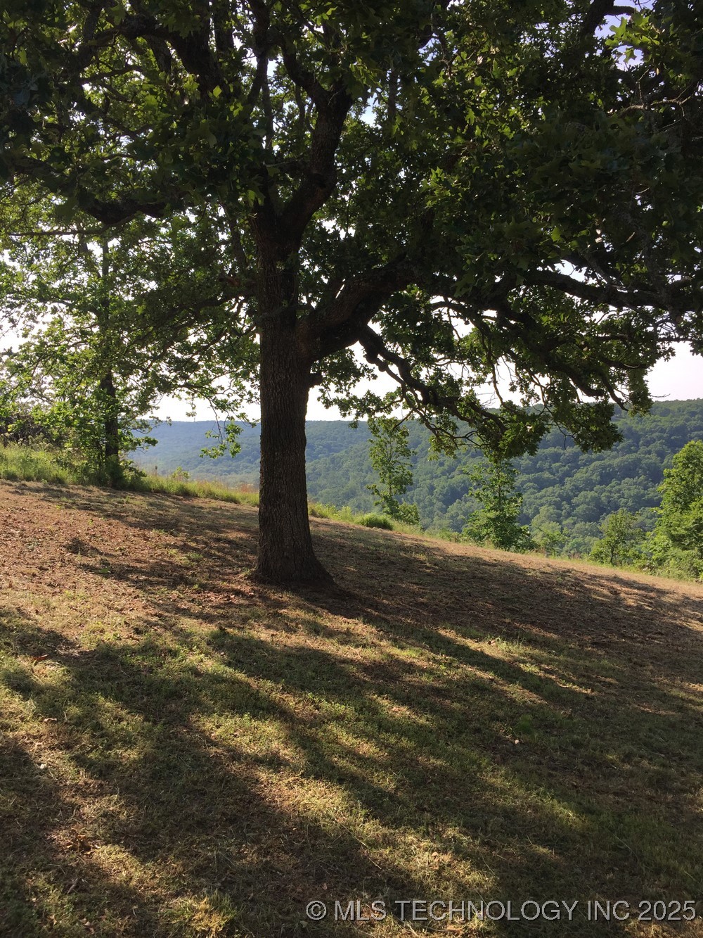 S Oak Lane Property Photo 7