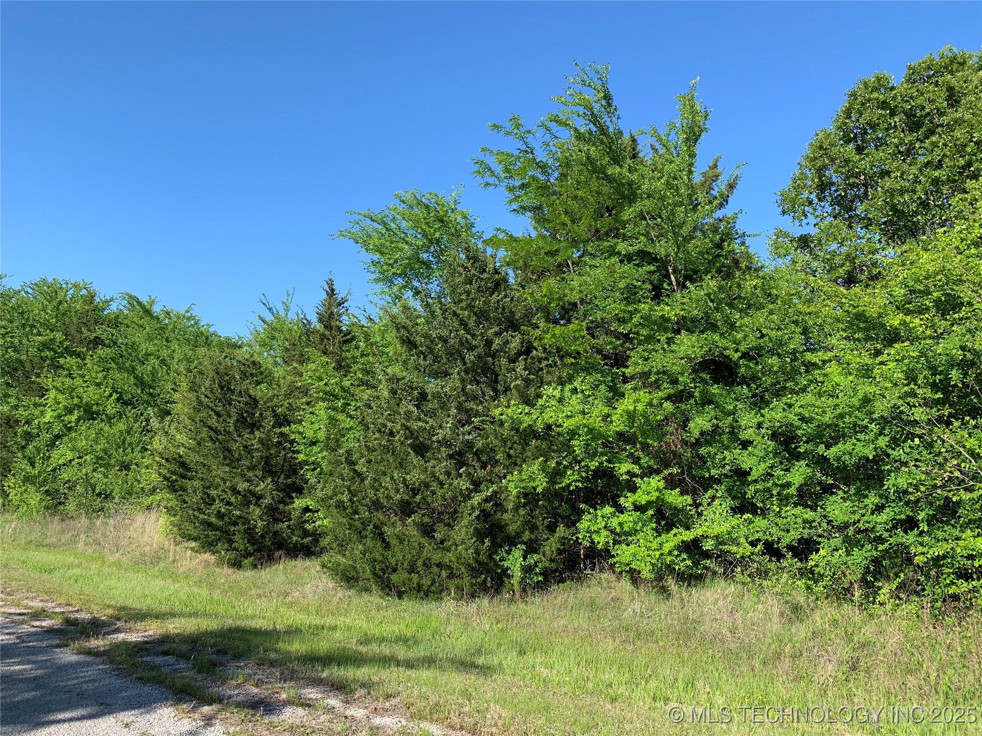 1896 River Oak Court Property Photo 3