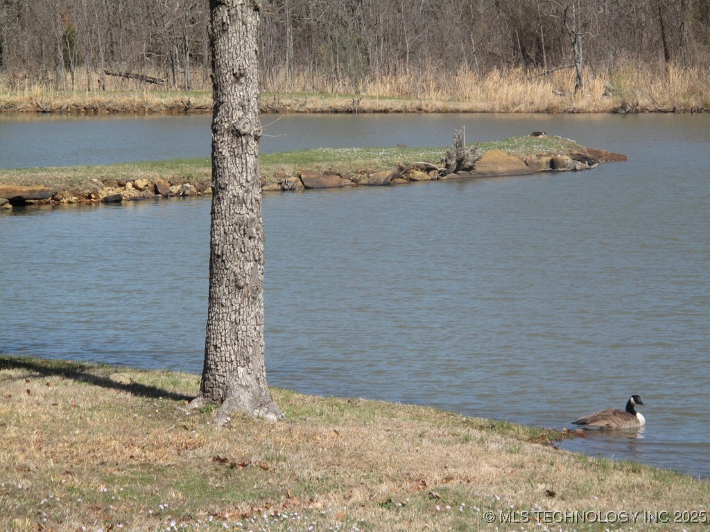 3 E Snake Creek Road Property Photo 6