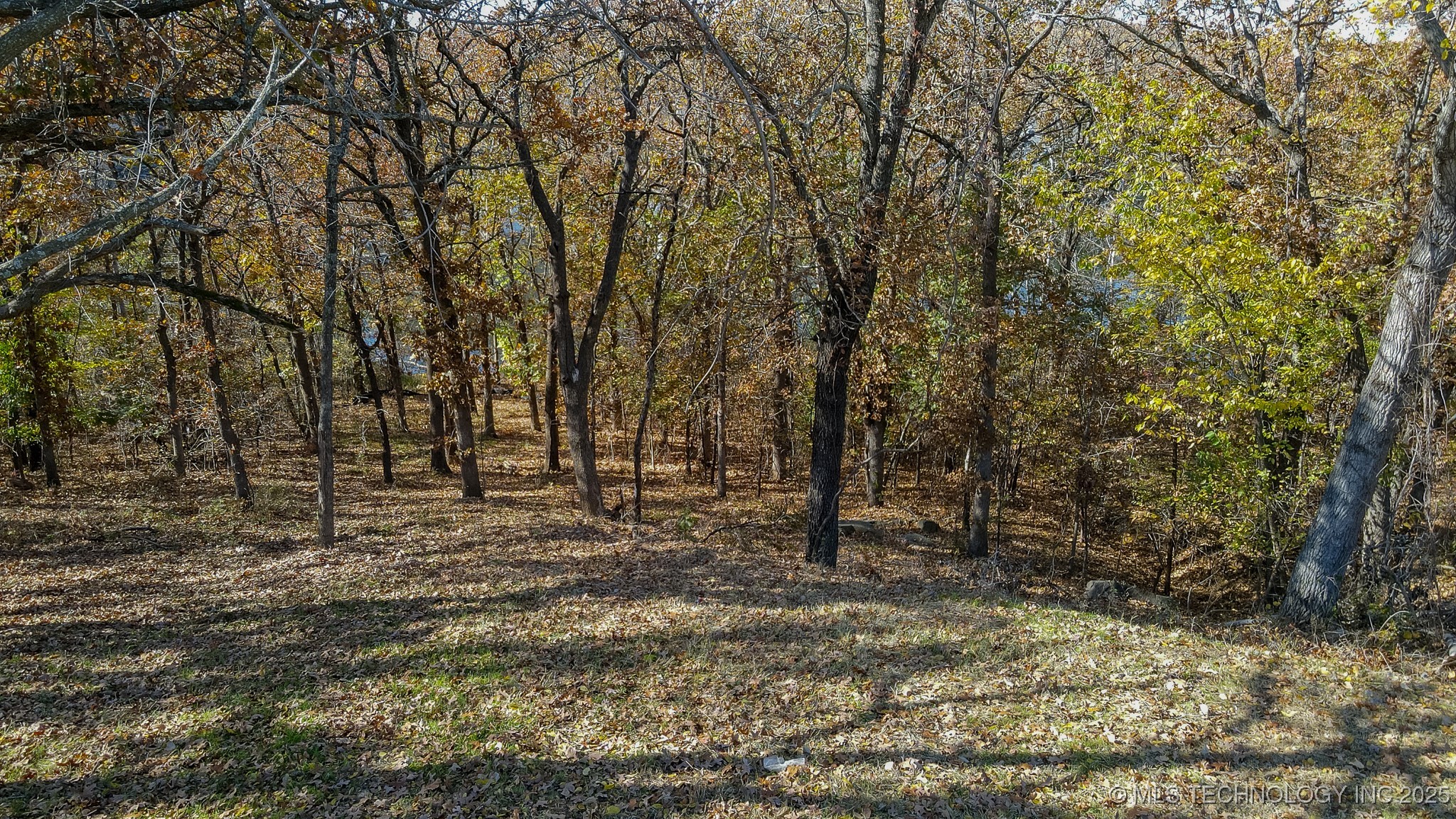 12110 S 14th Court Property Photo 11