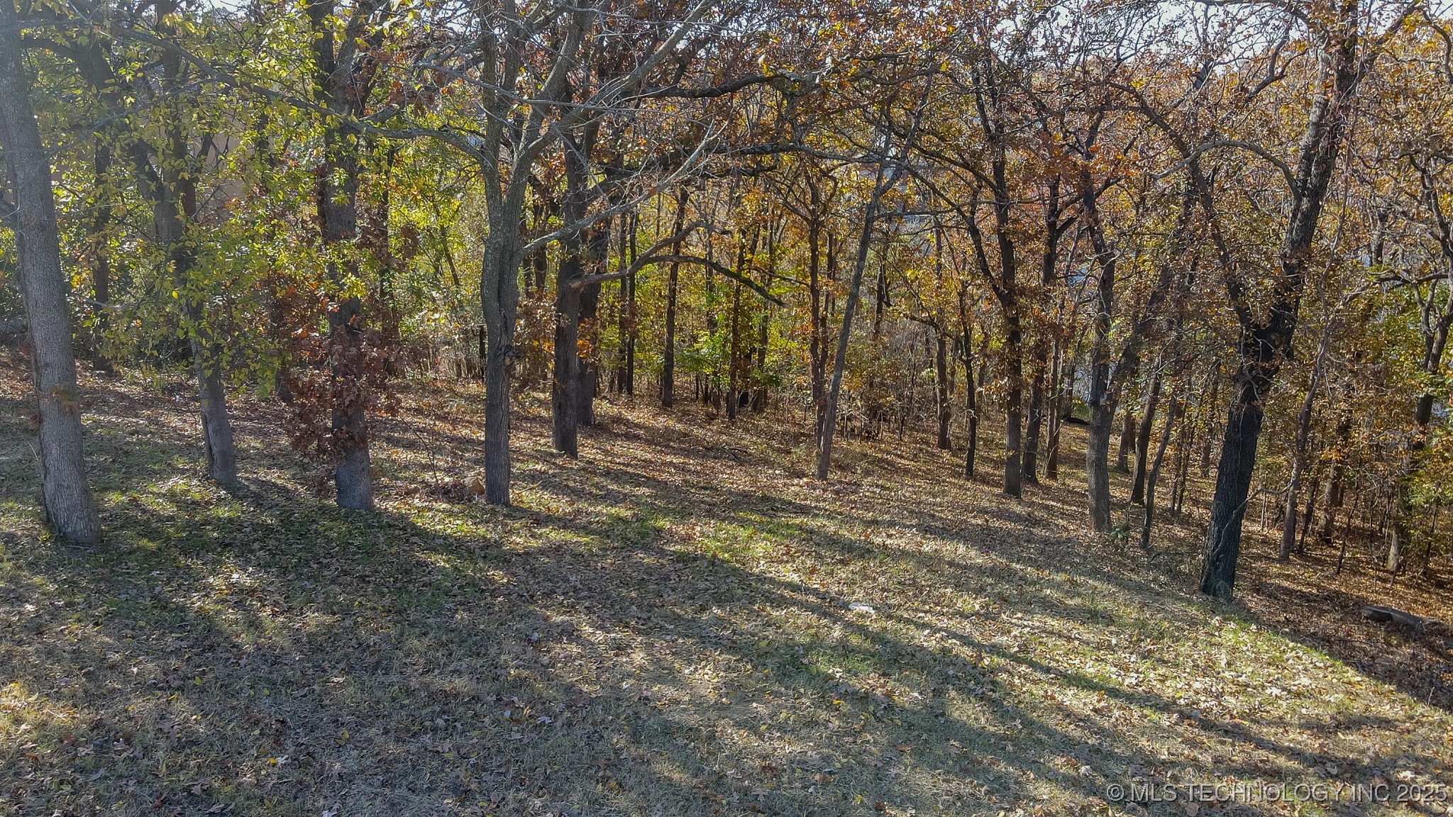 12110 S 14th Court Property Photo 12