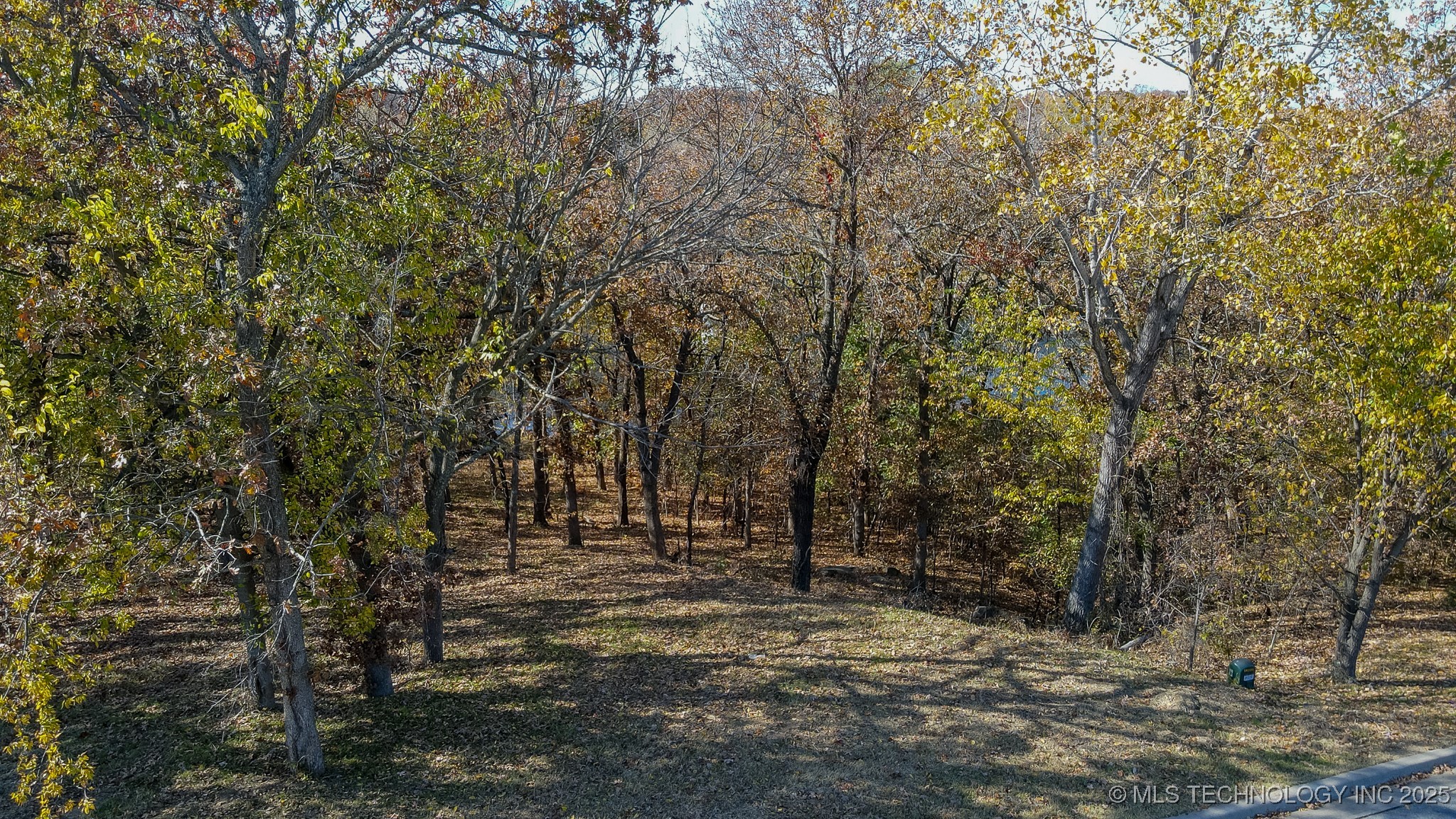 12110 S 14th Court Property Photo 31