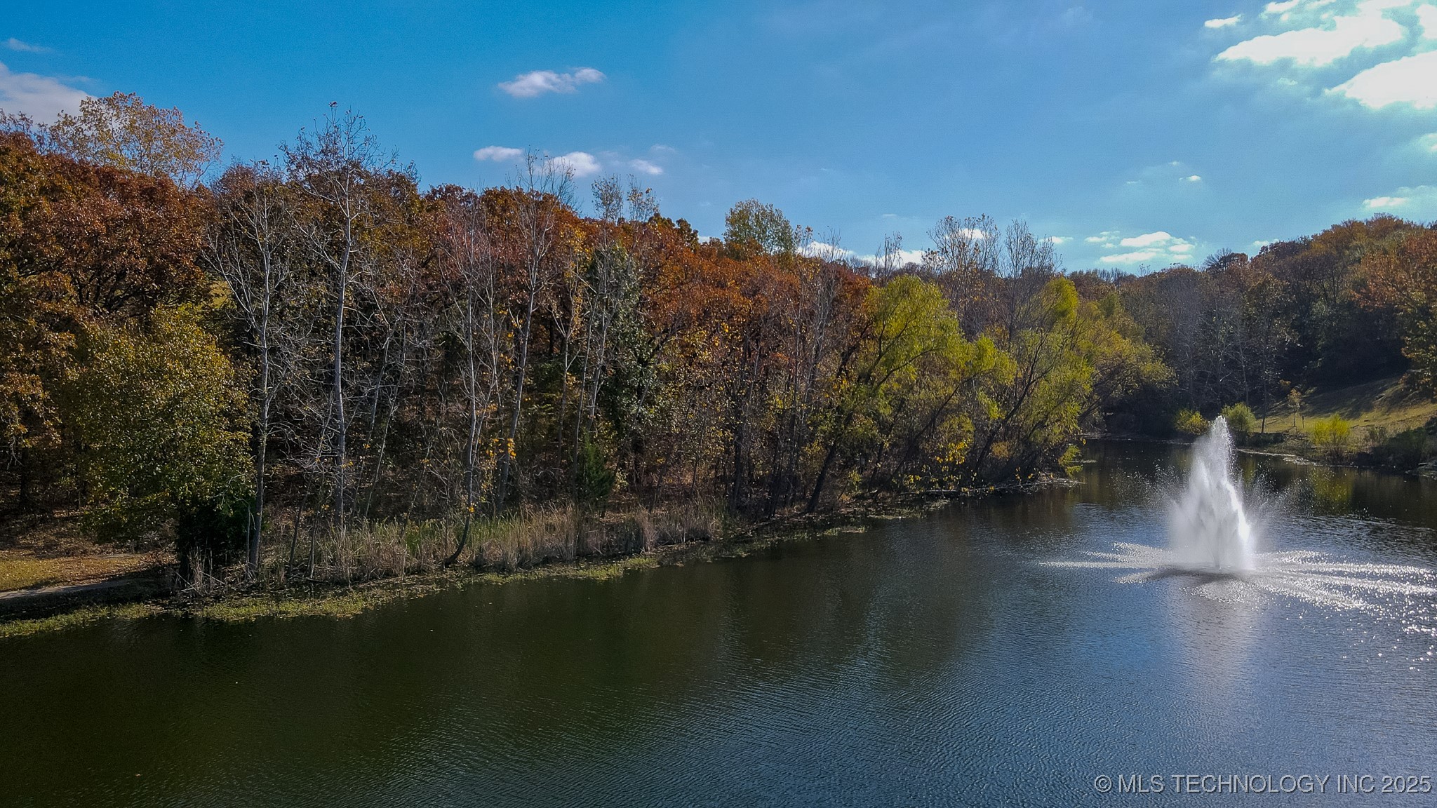 12116 S 14th Court Property Photo 7