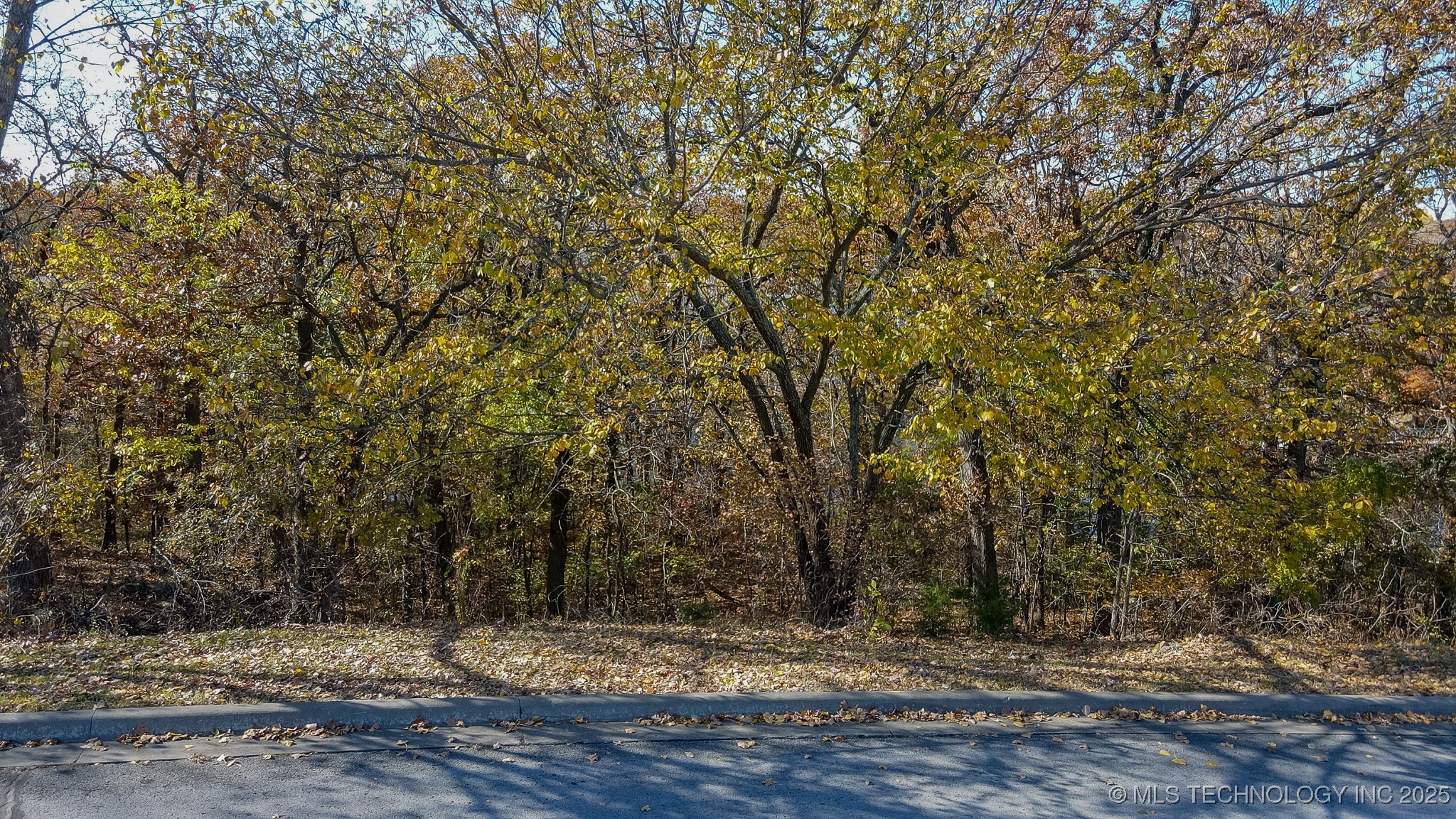 12116 S 14th Court Property Photo 13