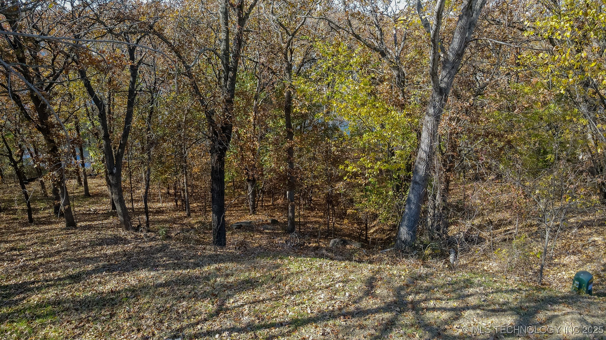 12116 S 14th Court Property Photo 27