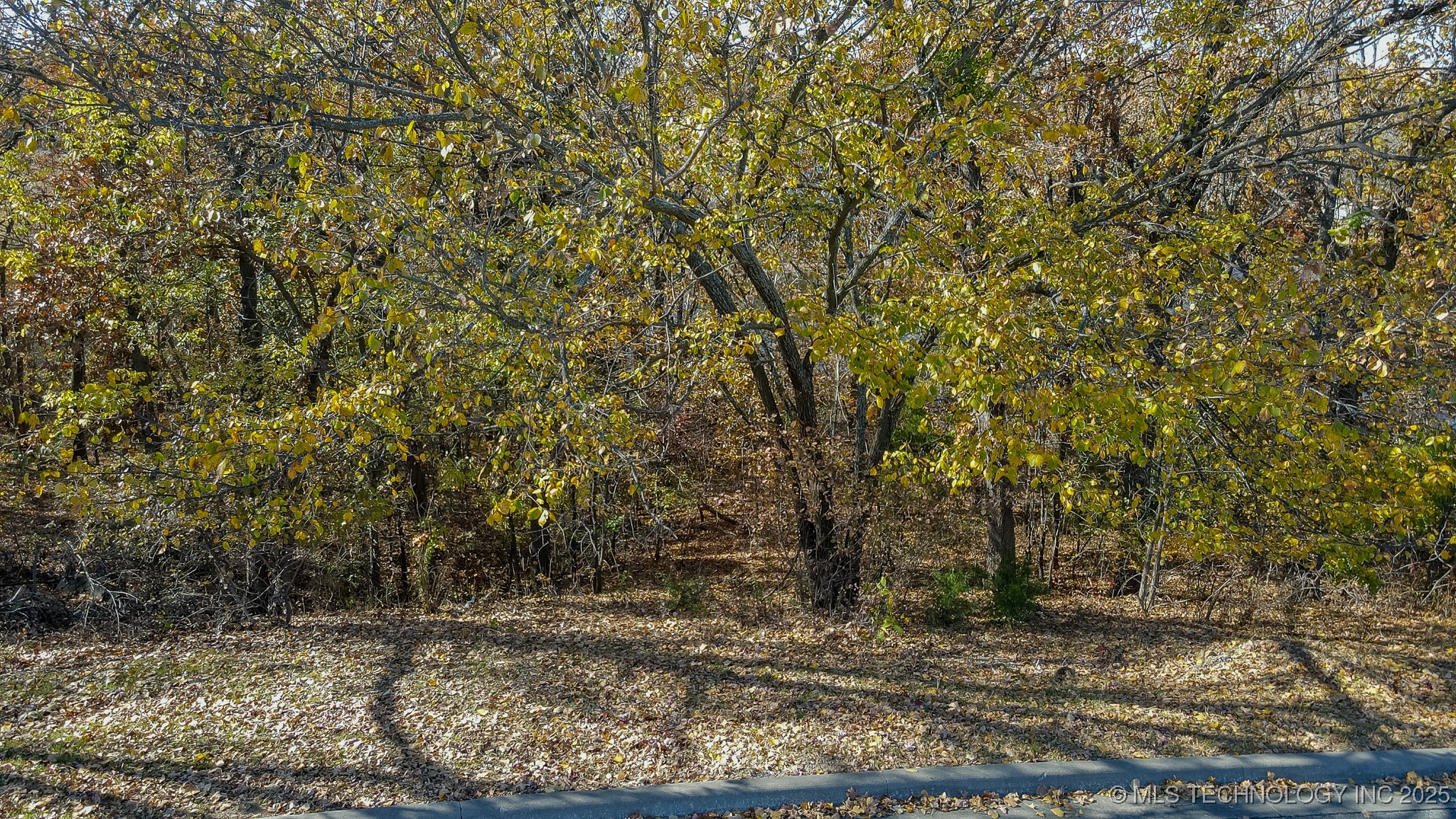 12116 S 14th Court Property Photo 28