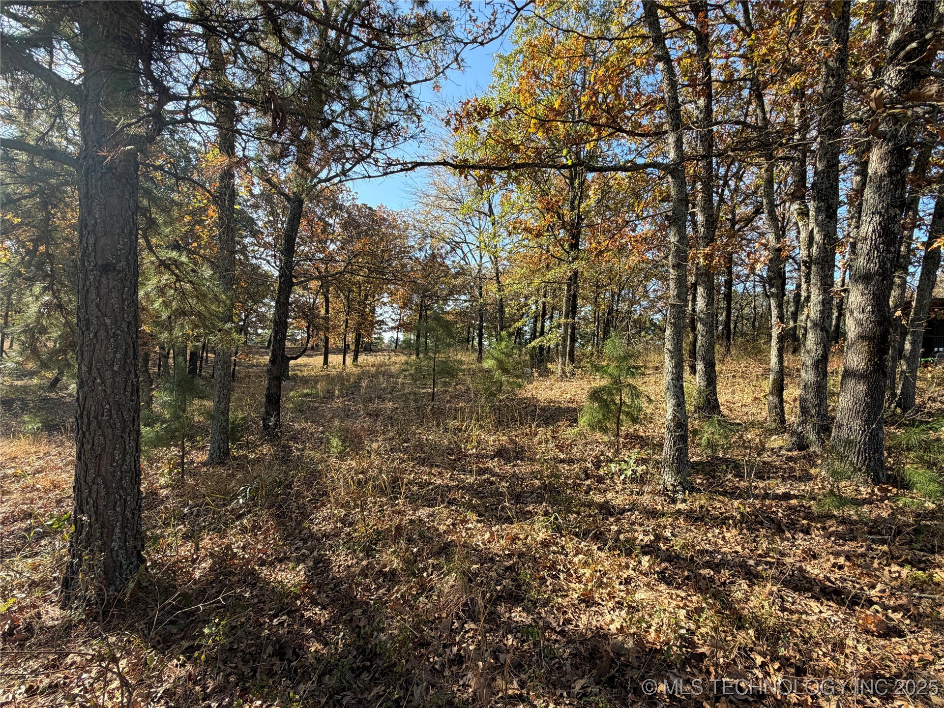 15568 S Highway 109a Property Photo 26