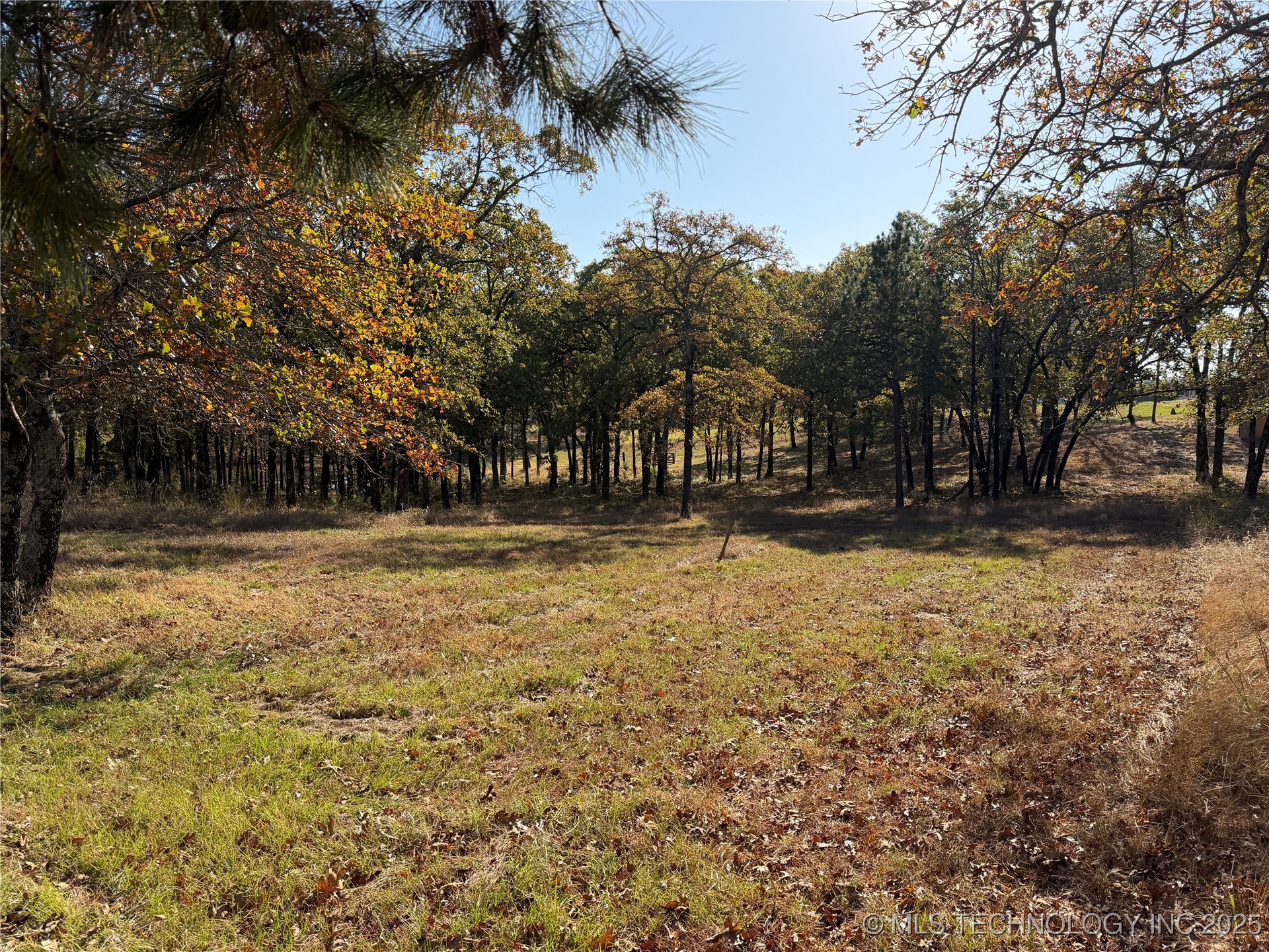 15568 S Highway 109a Property Photo 27