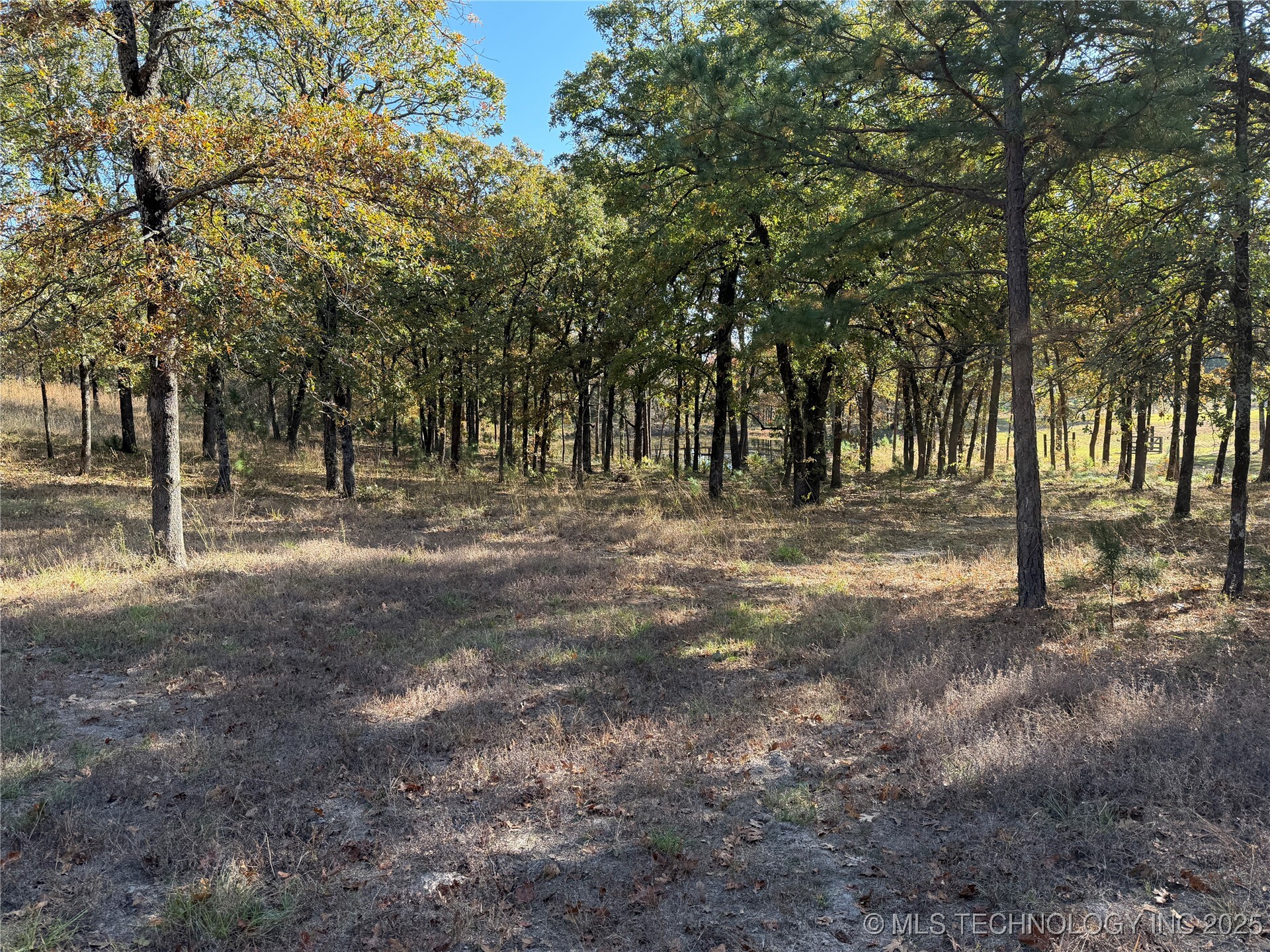 15568 S Highway 109a Property Photo 29