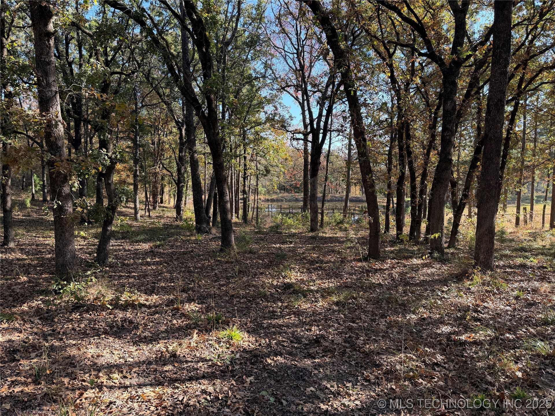 15568 S Highway 109a Property Photo 30