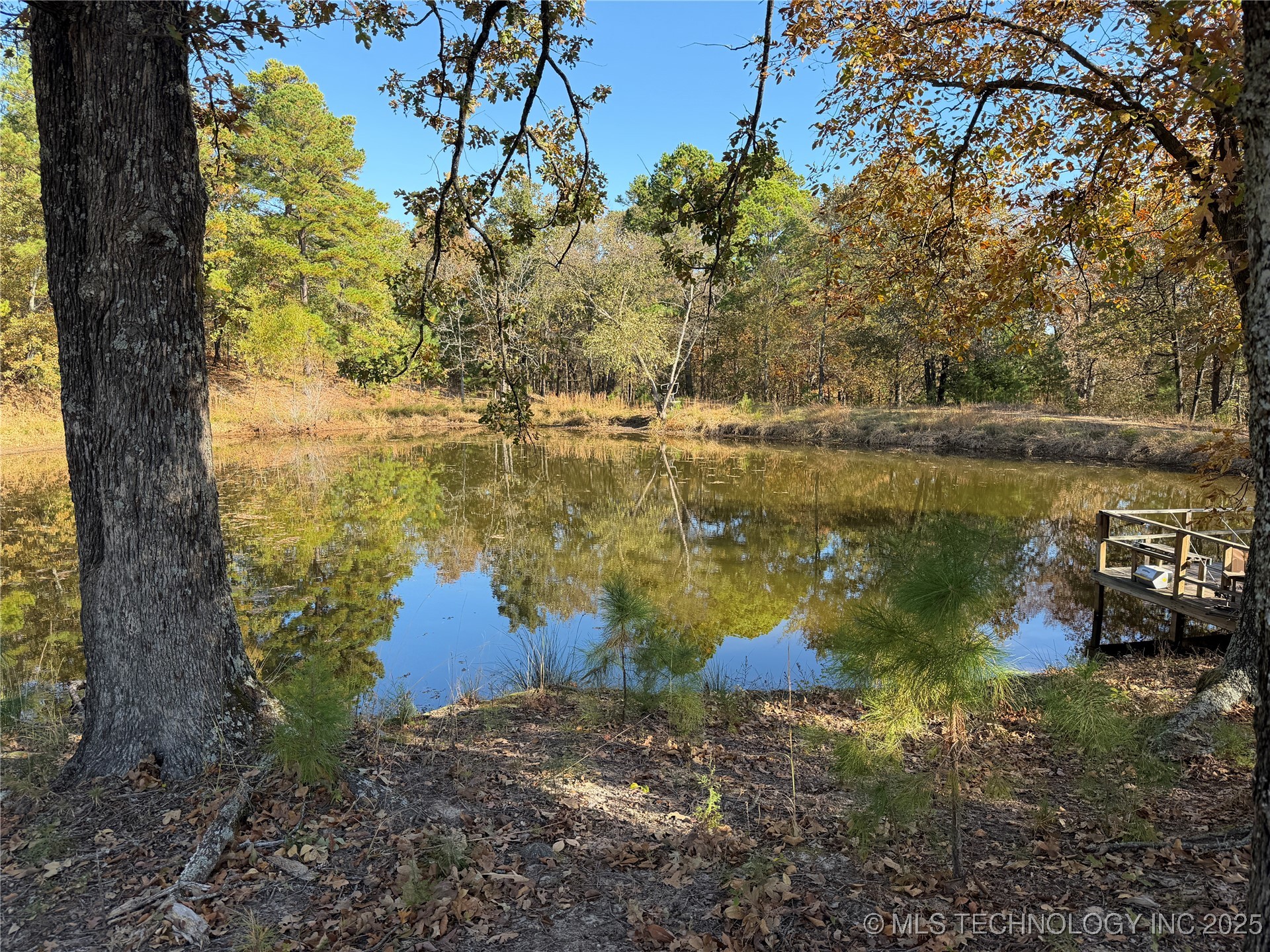 15568 S Highway 109a Property Photo 33