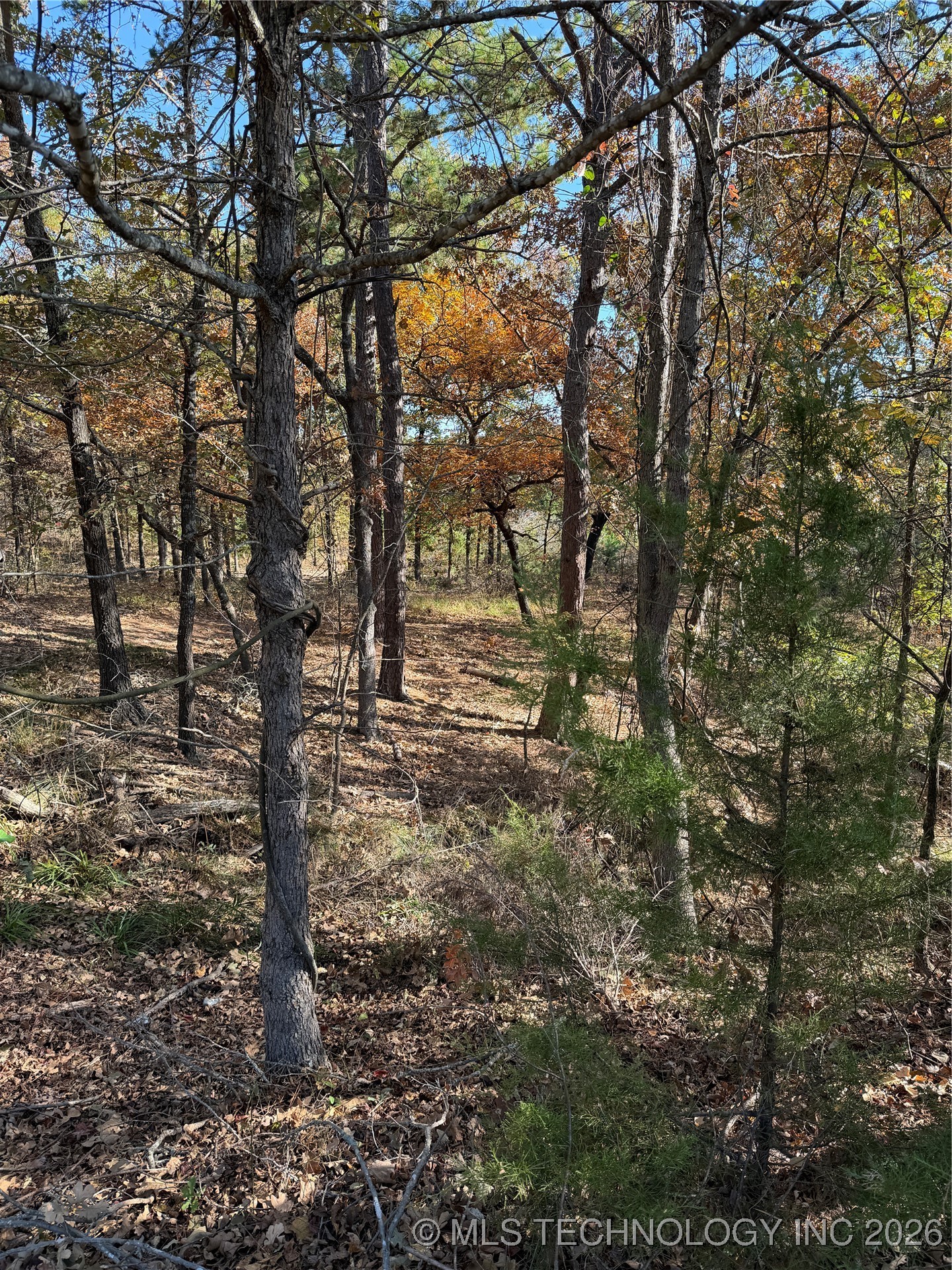 15568 S Highway 109a Property Photo 37