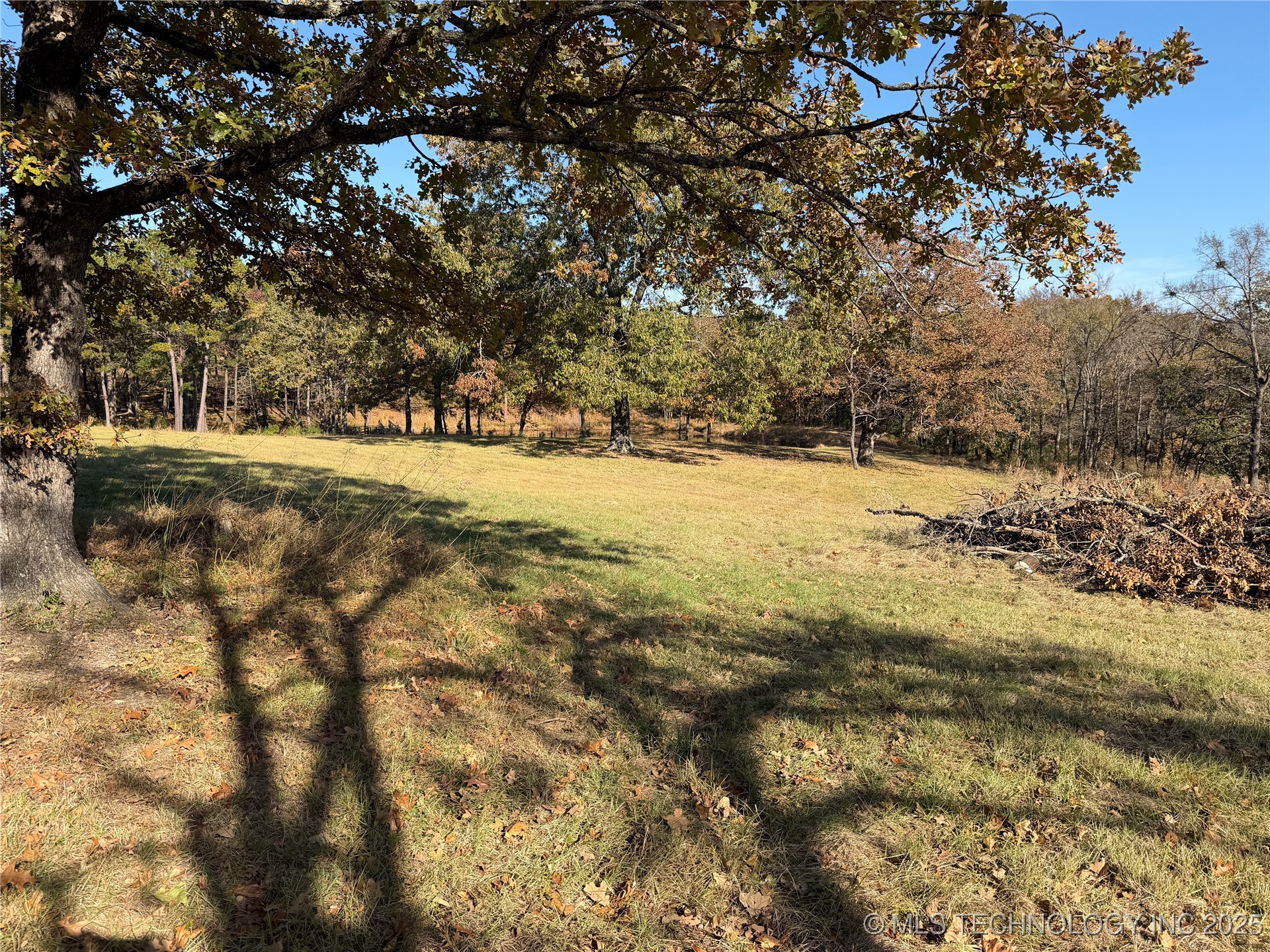 15568 S Highway 109a Property Photo 40