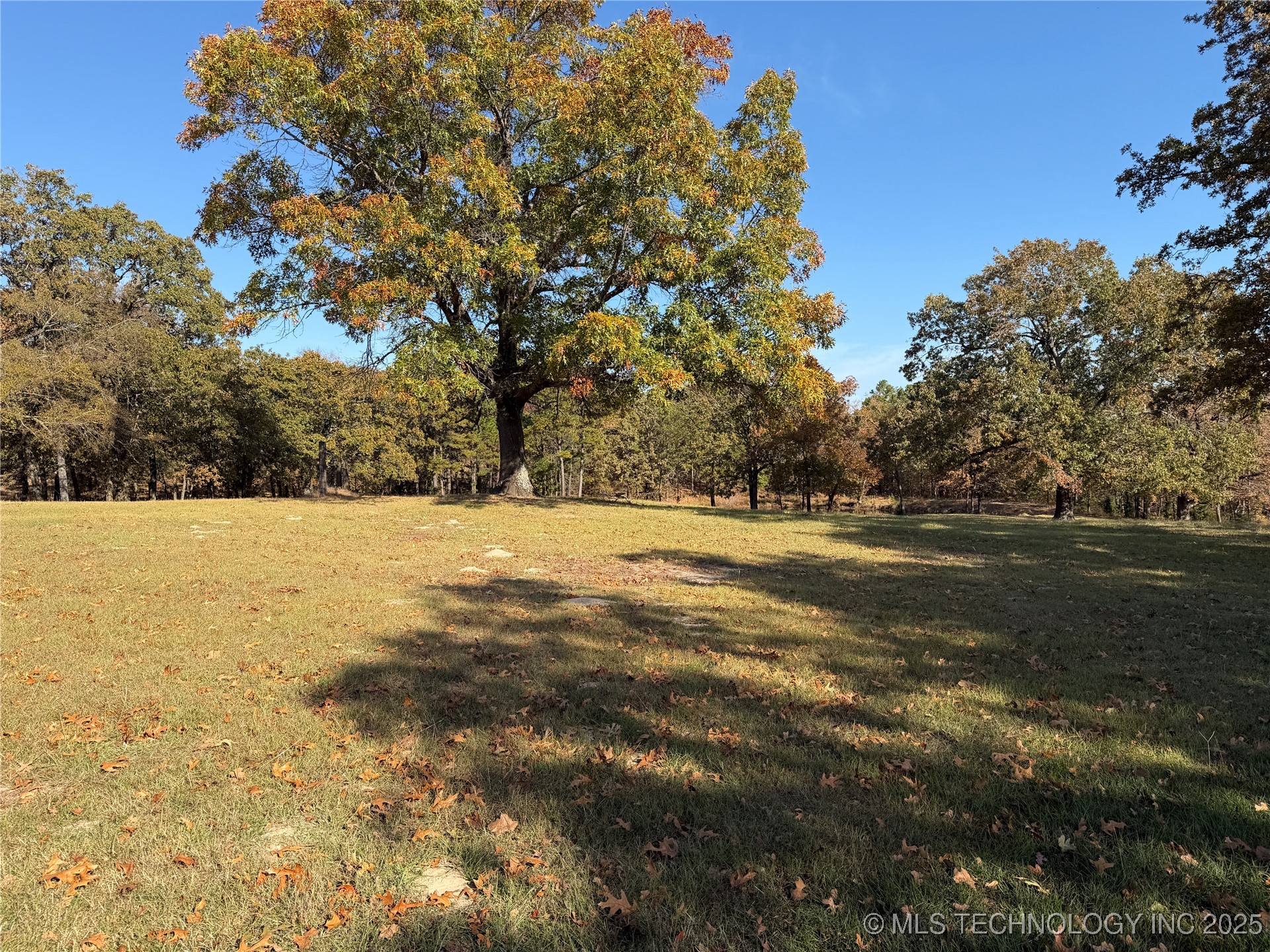 15568 S Highway 109a Property Photo 44