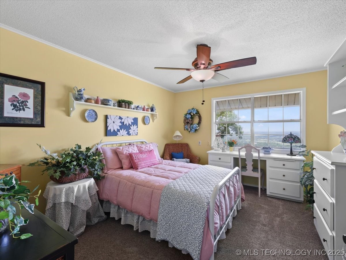 3900 Wylie Road Property Photo 51