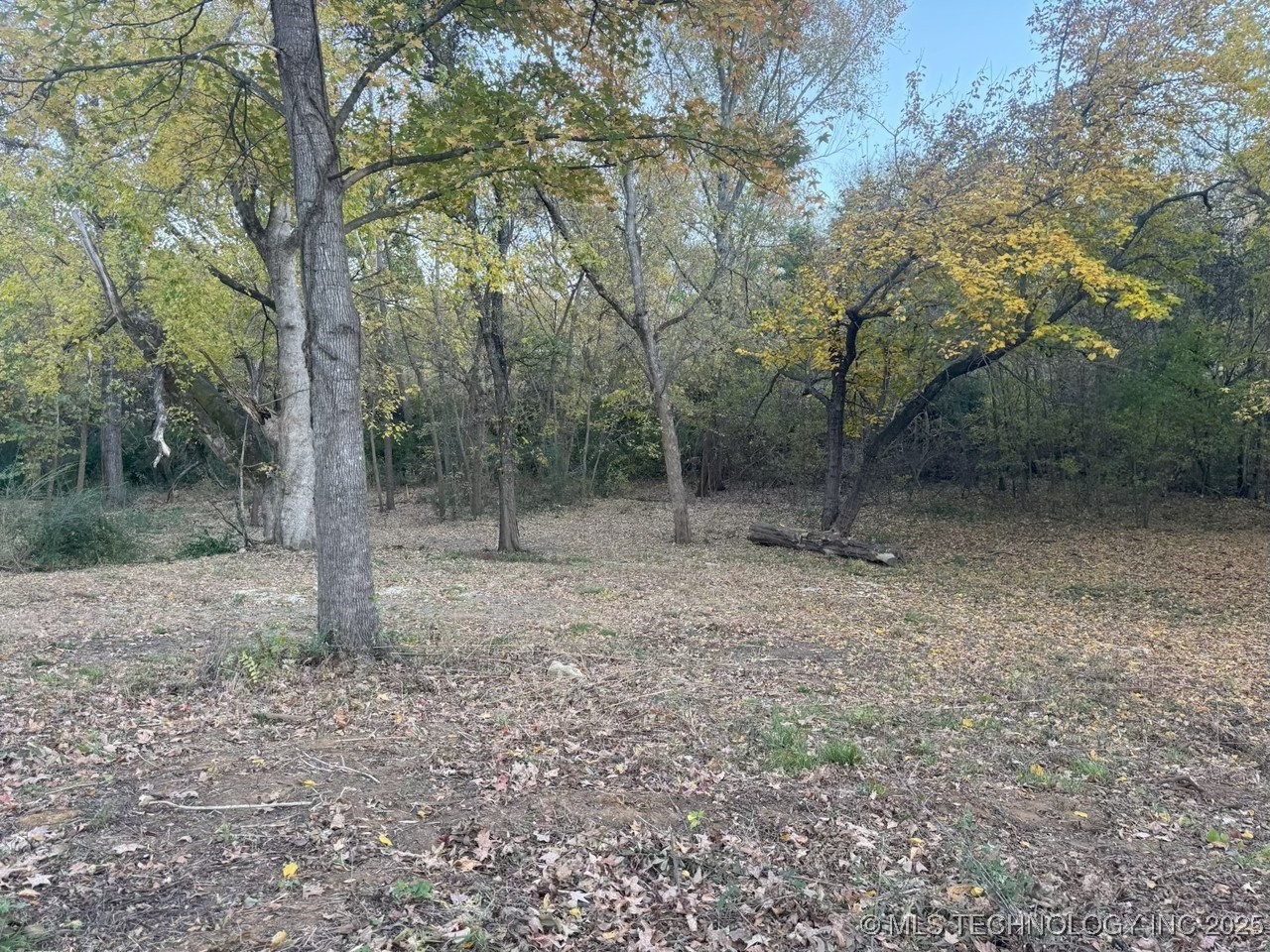 501 Lee Property Photo 3