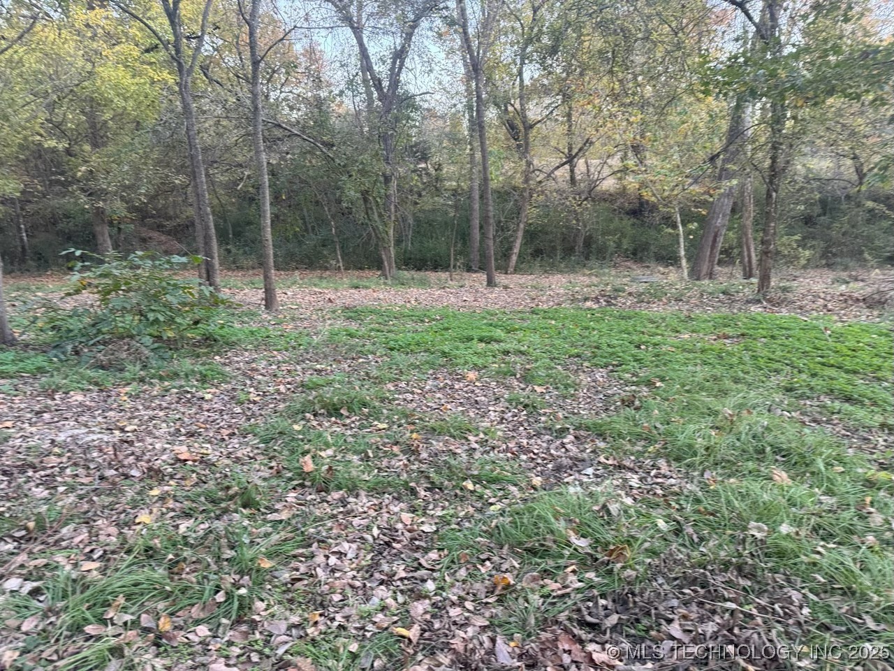 501 Lee Property Photo 7