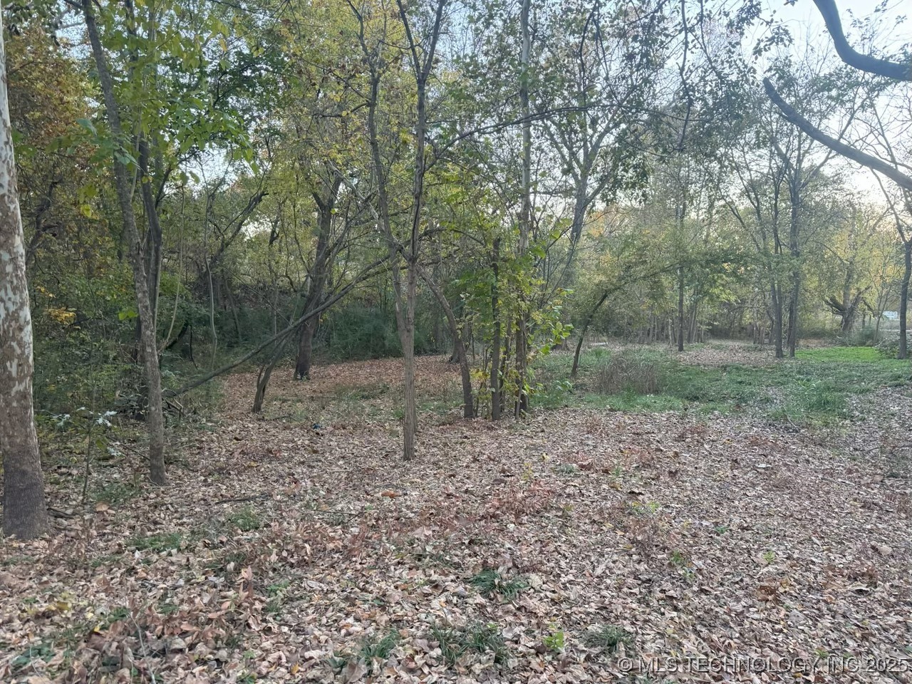 501 Lee Property Photo 13